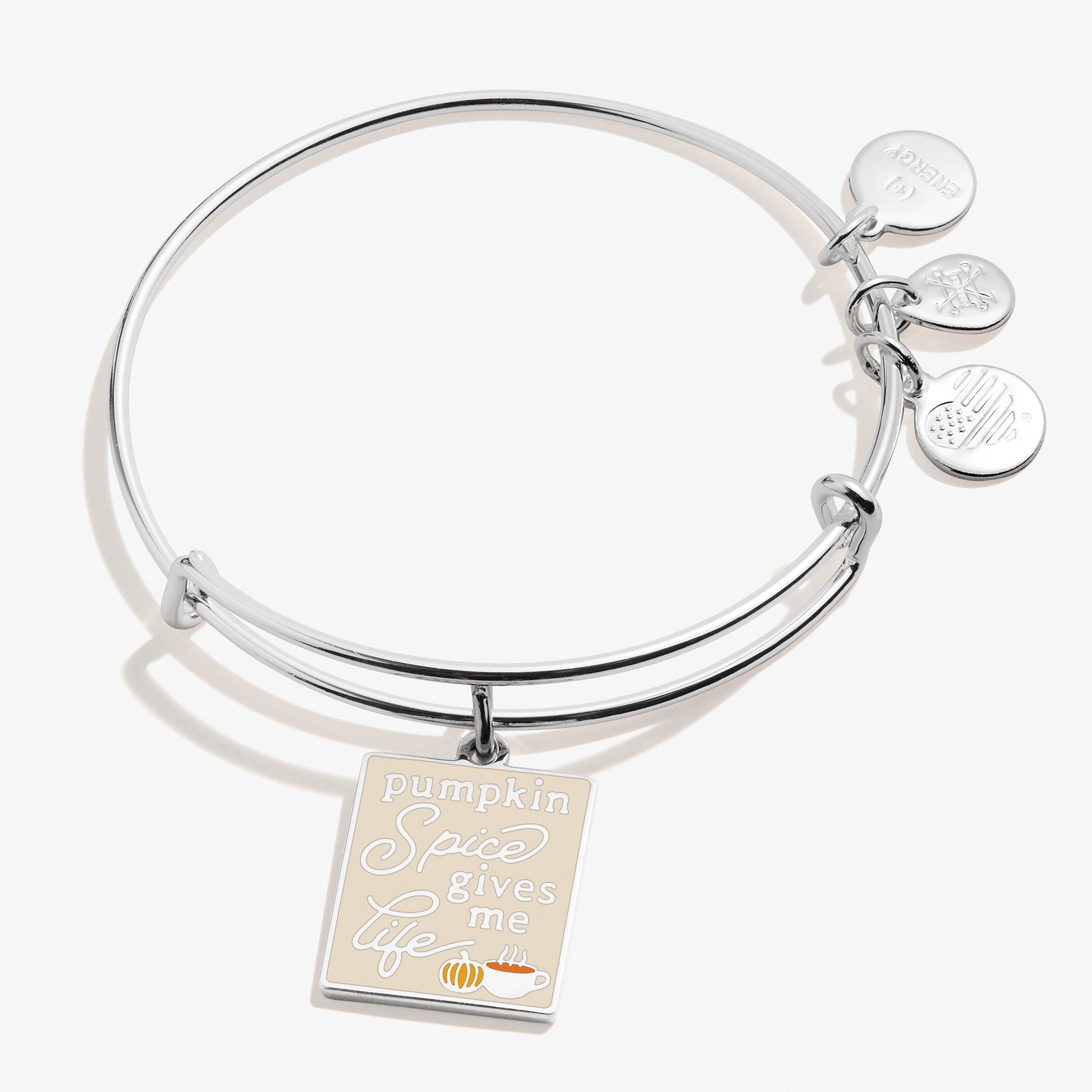 Pumpkin Spice Gives Me Life' Charm Bangle Bracelet
    
    
    
       Shiny Silver