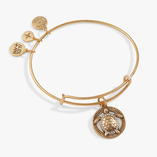 Turtle Charm Bangle Antiqued Gold