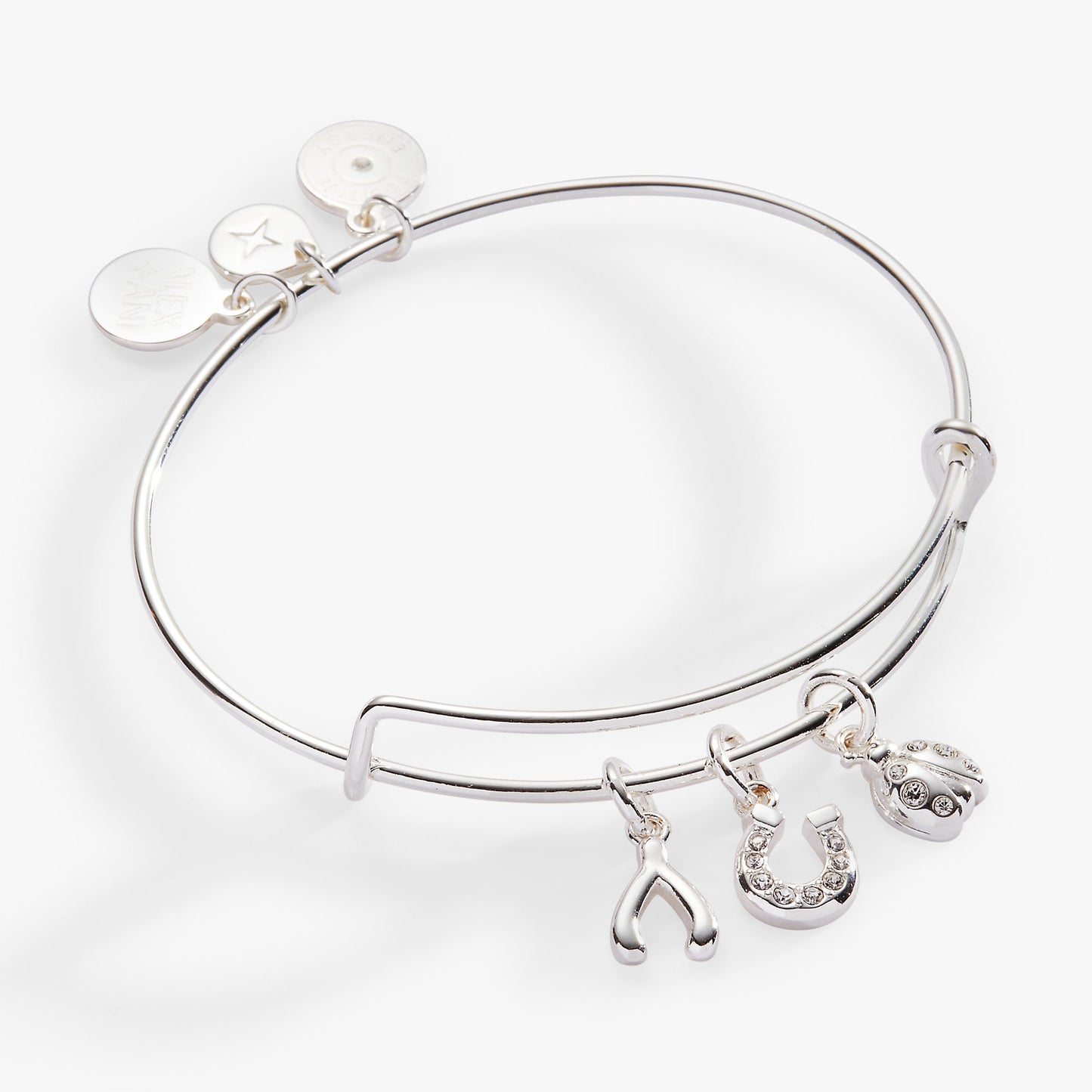 Love and Luck Multi-Charm Bangle Gold