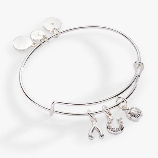 Love and Luck Multi-Charm Bangle Gold
