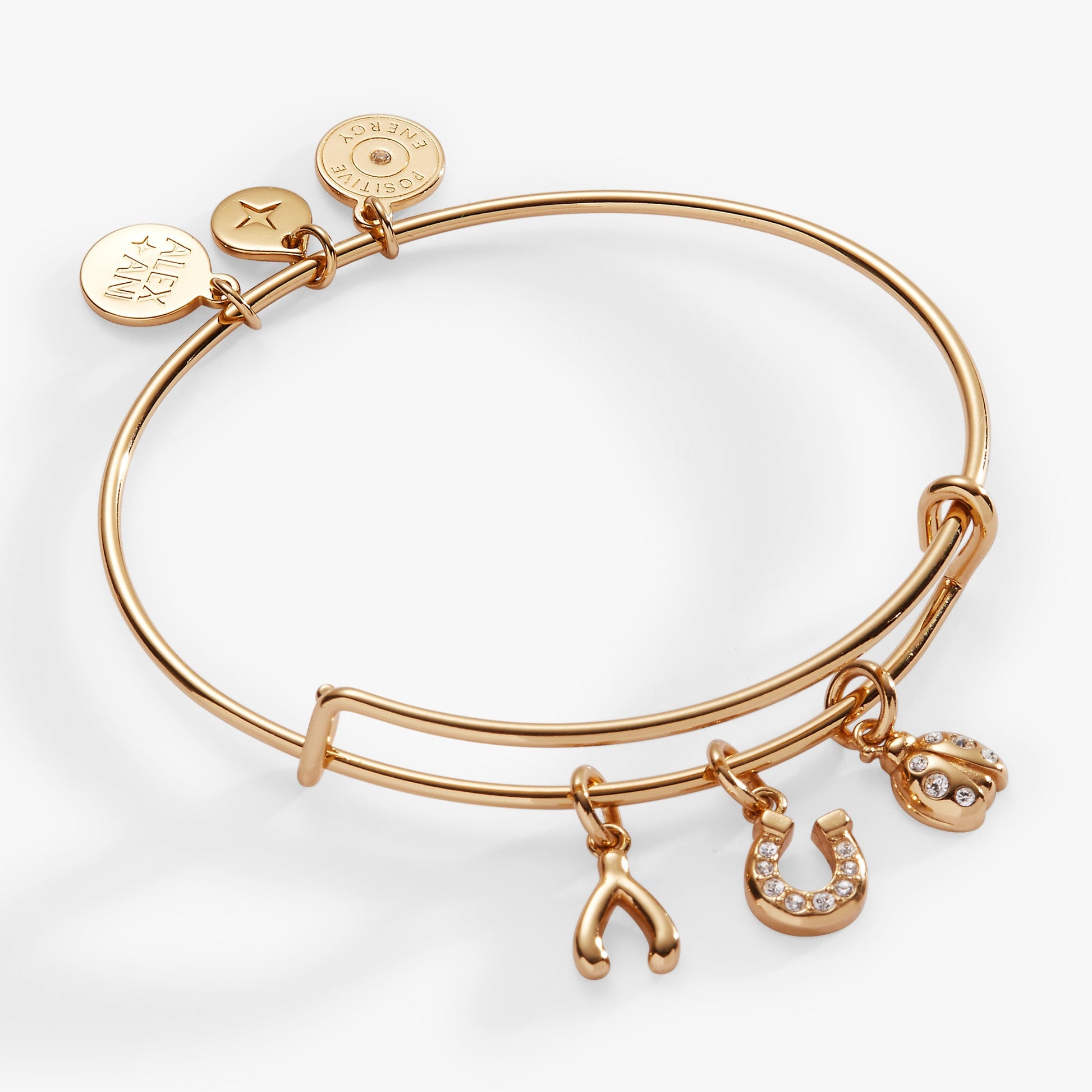 Love and Luck Multi-Charm Bangle Gold