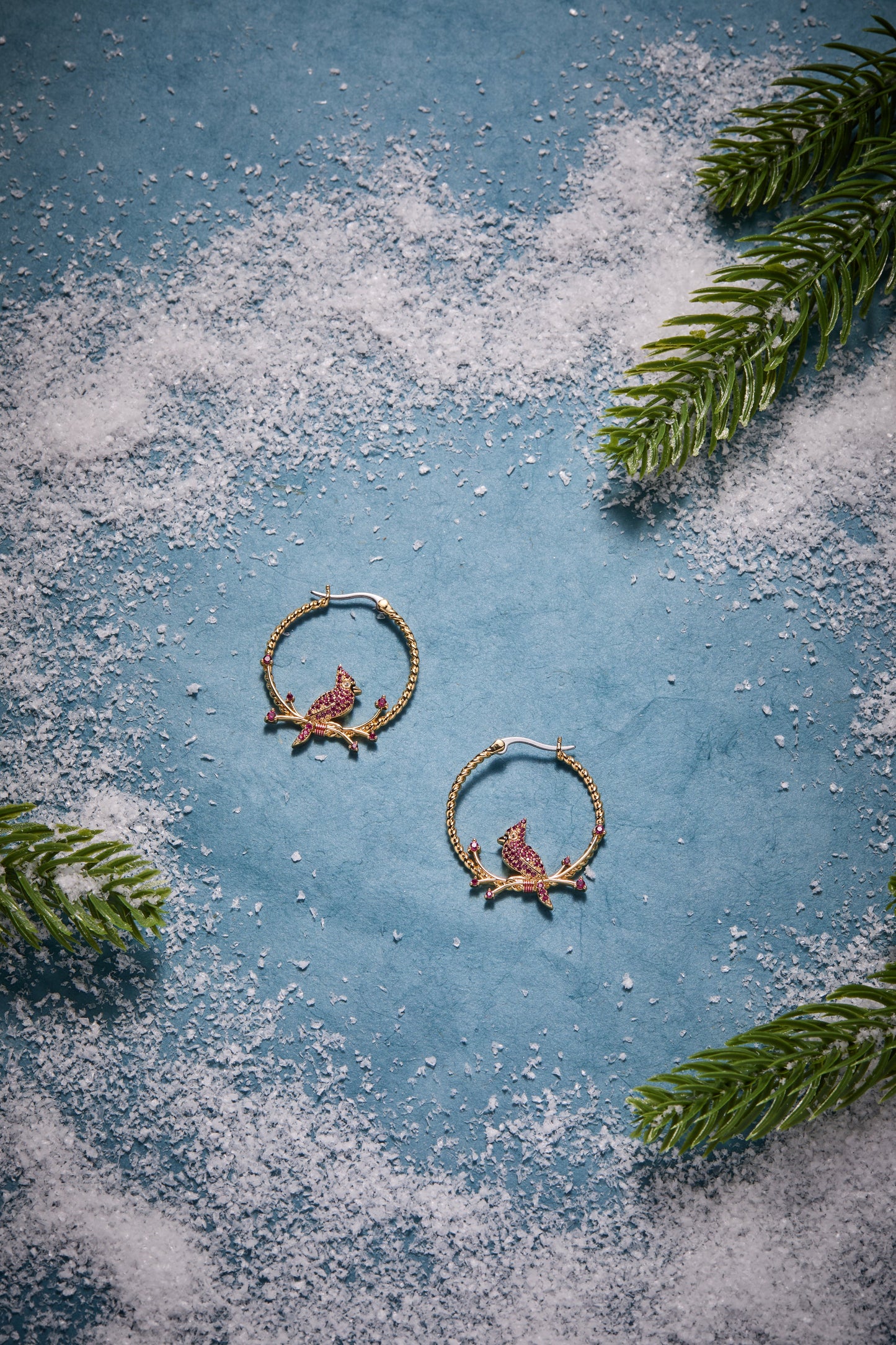 Cardinal Hoop Earrings Silver