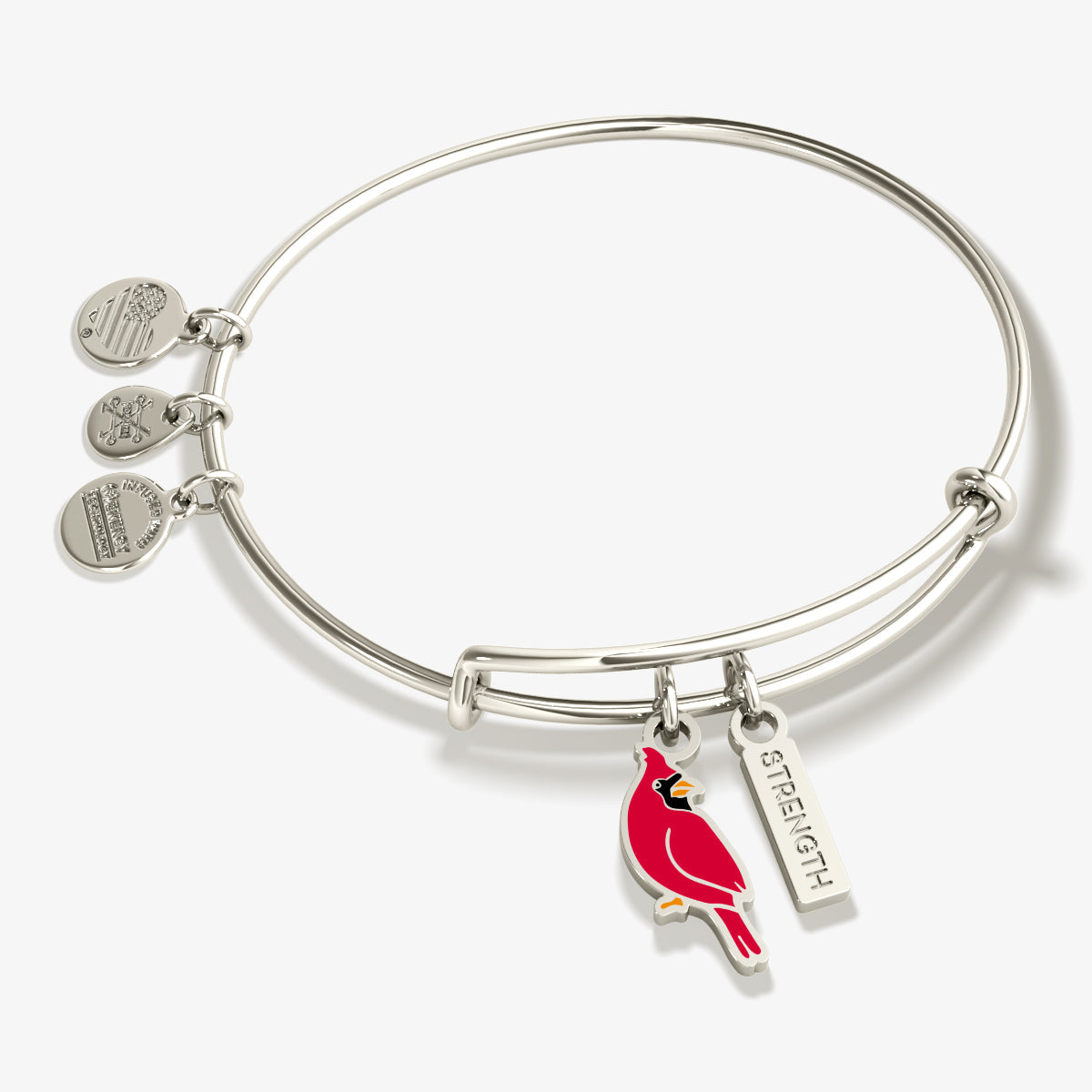 Strength' Cardinal Charm Bangle Bracelet
    
    
    
       Shiny Silver