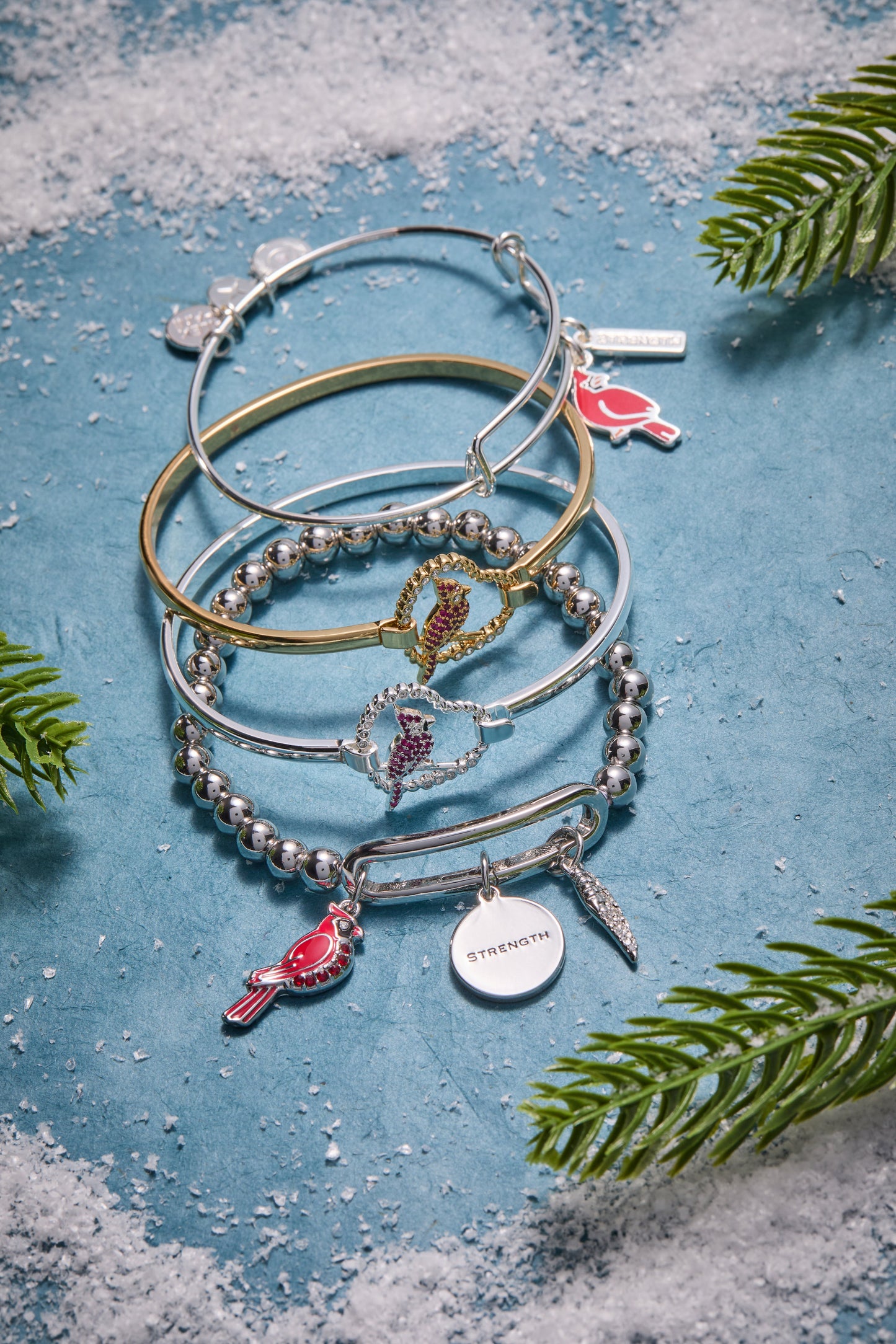 Strength' Cardinal Charm Bangle Bracelet
    
    
    
       Shiny Silver