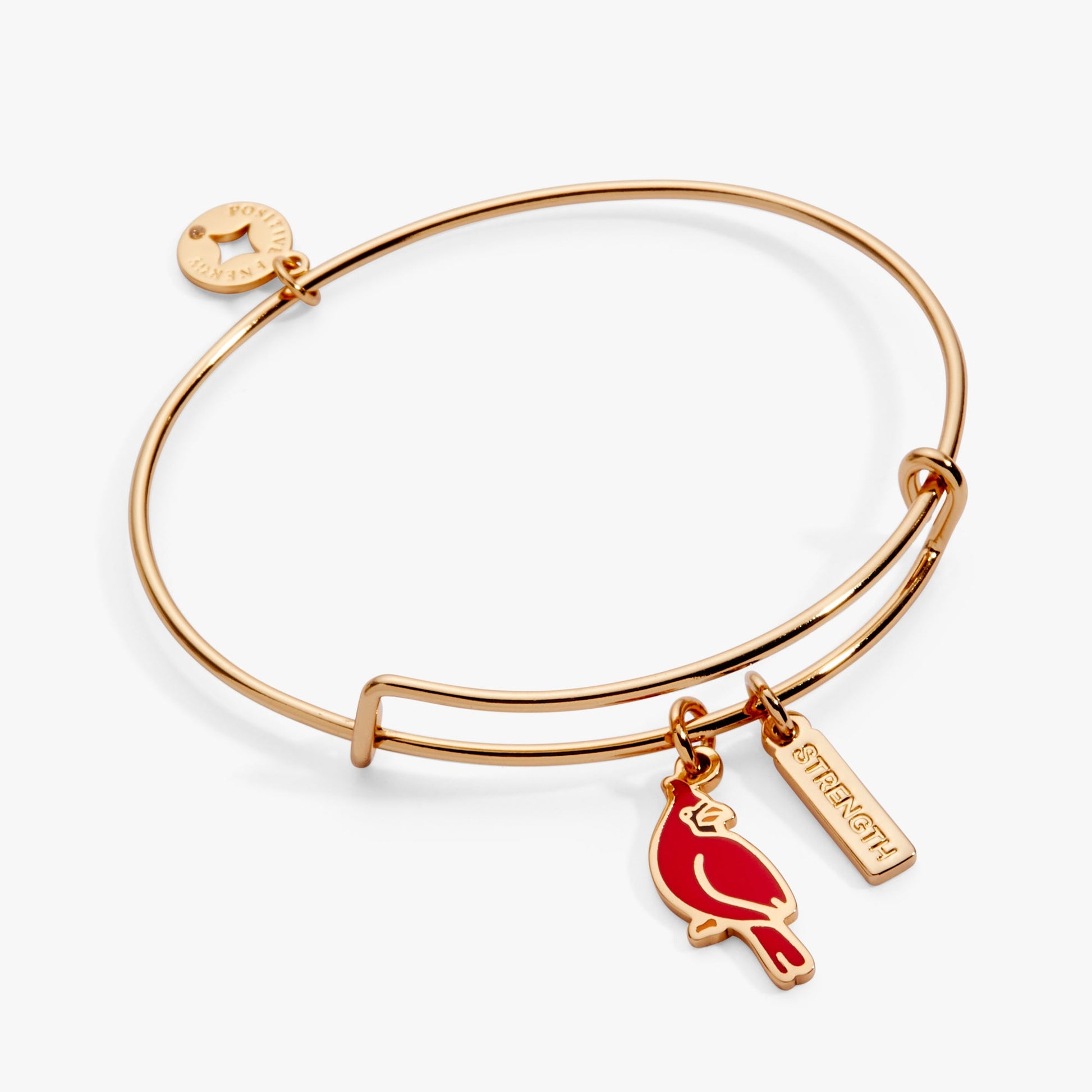 Strength' Cardinal Charm Bangle Bracelet
    
    
    
       Shiny Silver