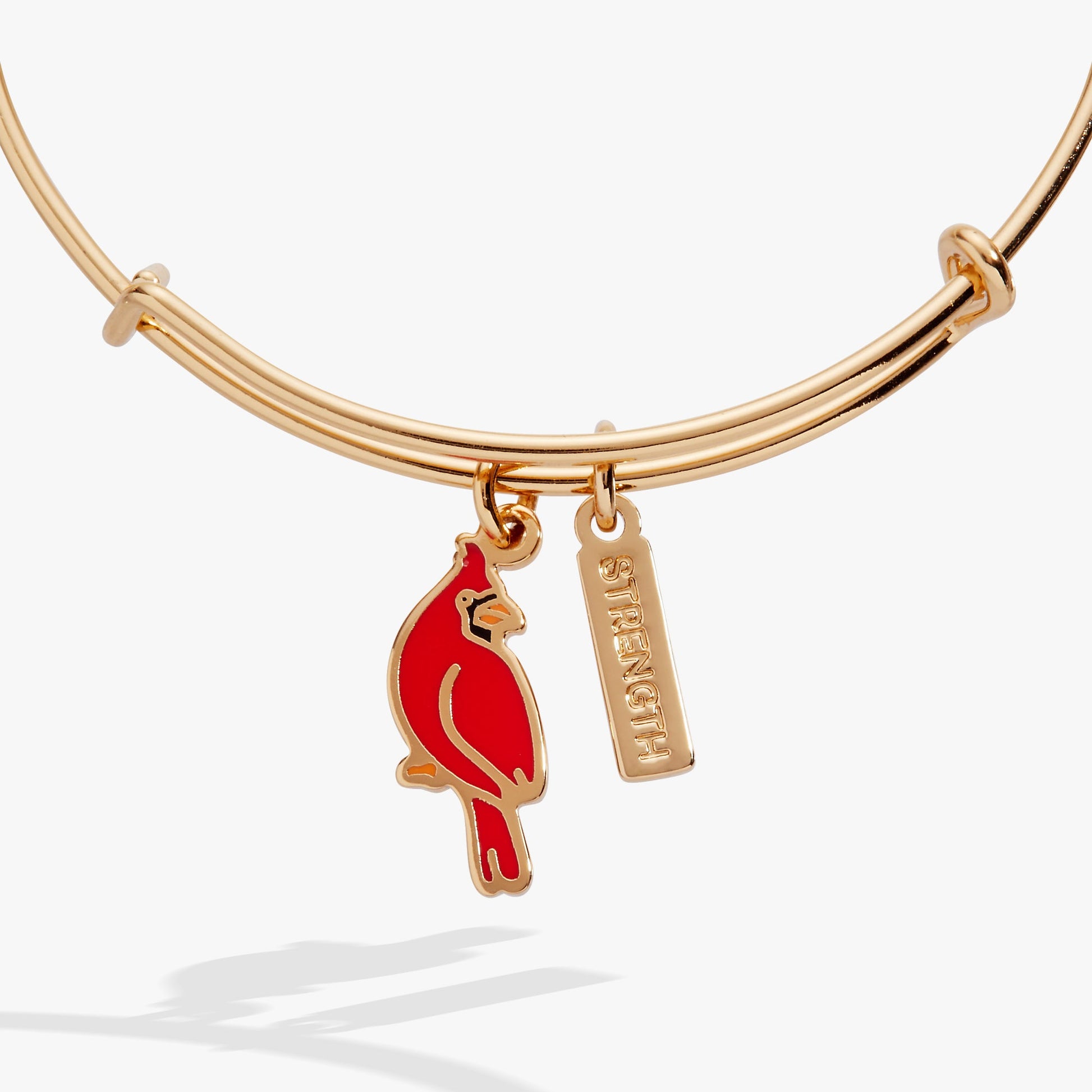 Strength' Cardinal Charm Bangle Bracelet
    
    
    
       Shiny Silver
