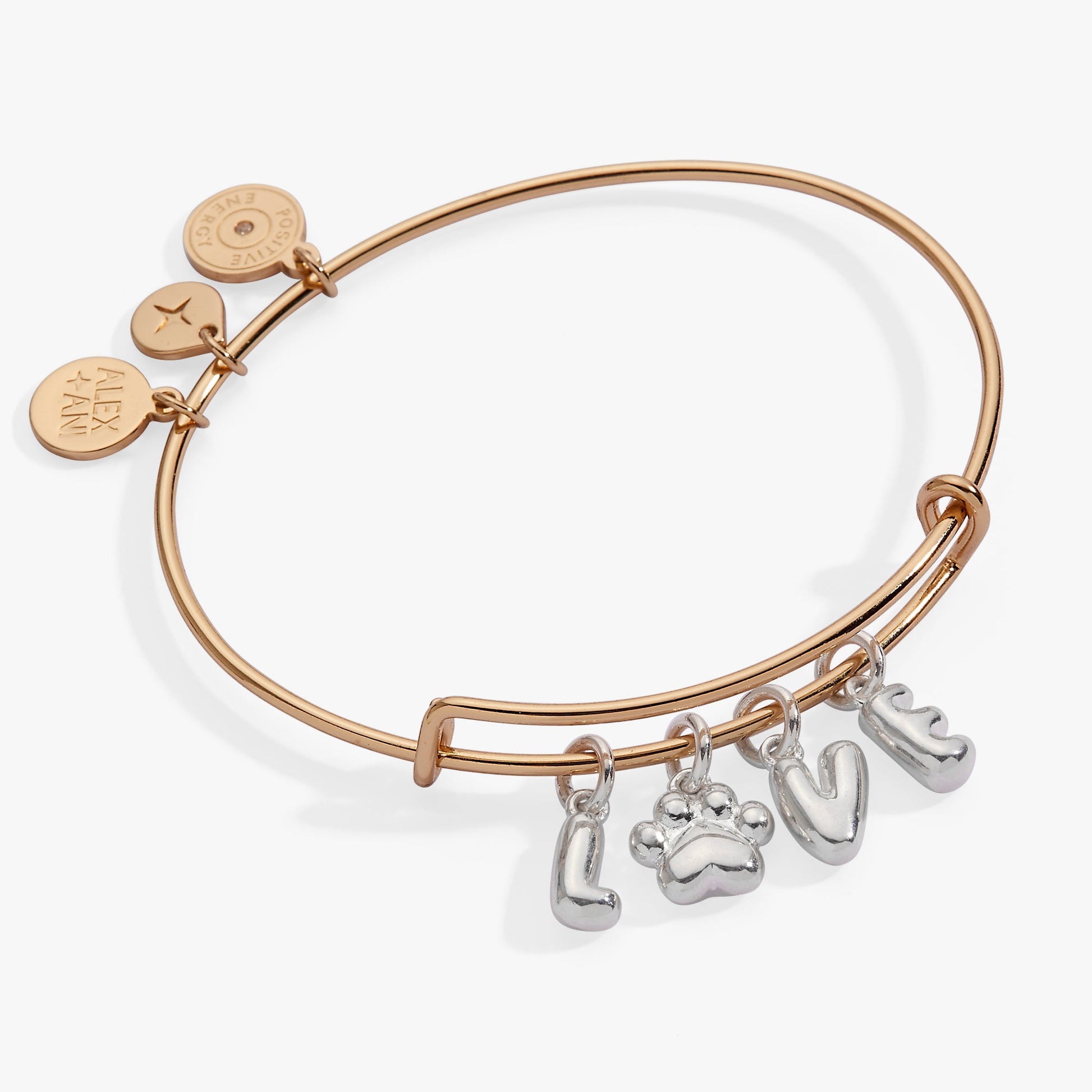 Pet Love Multi Charm Bangle Two Tone