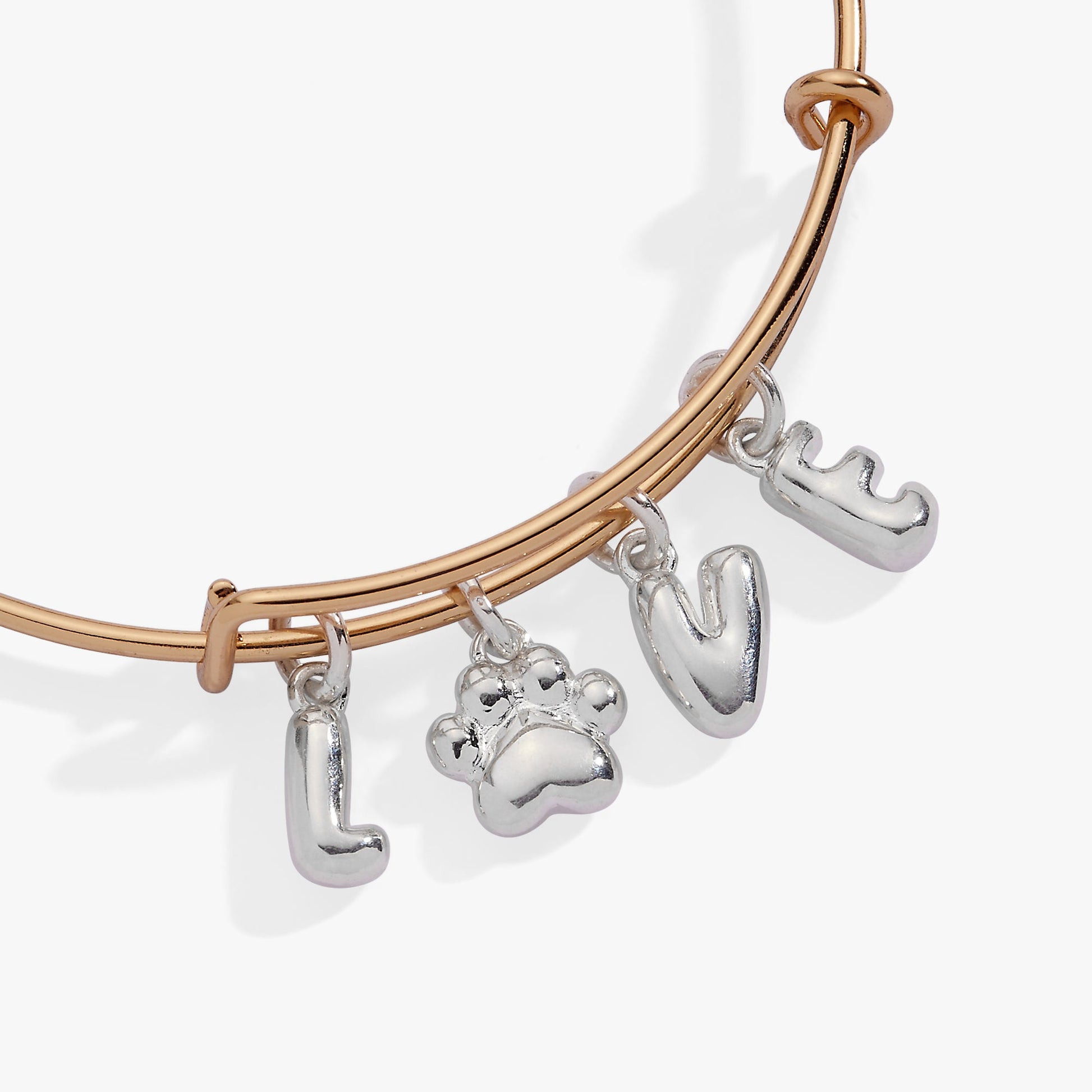 Pet Love Multi Charm Bangle Two Tone