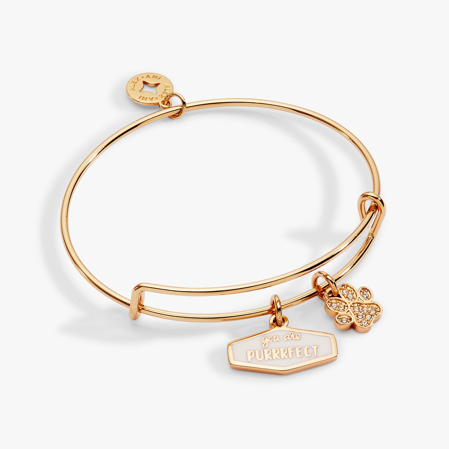 You Are Purrrfect Charm Bangle Gold