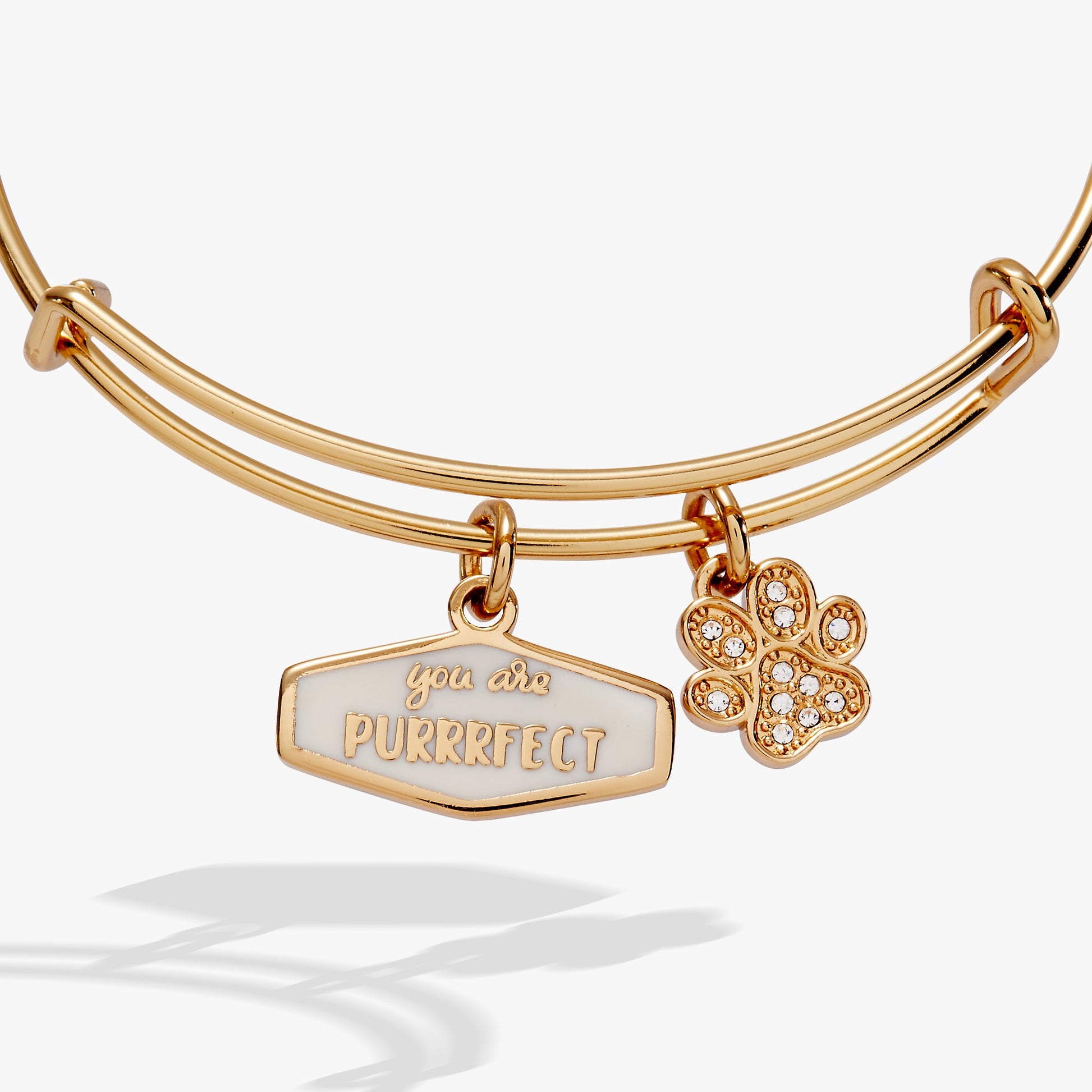 You Are Purrrfect Charm Bangle Gold