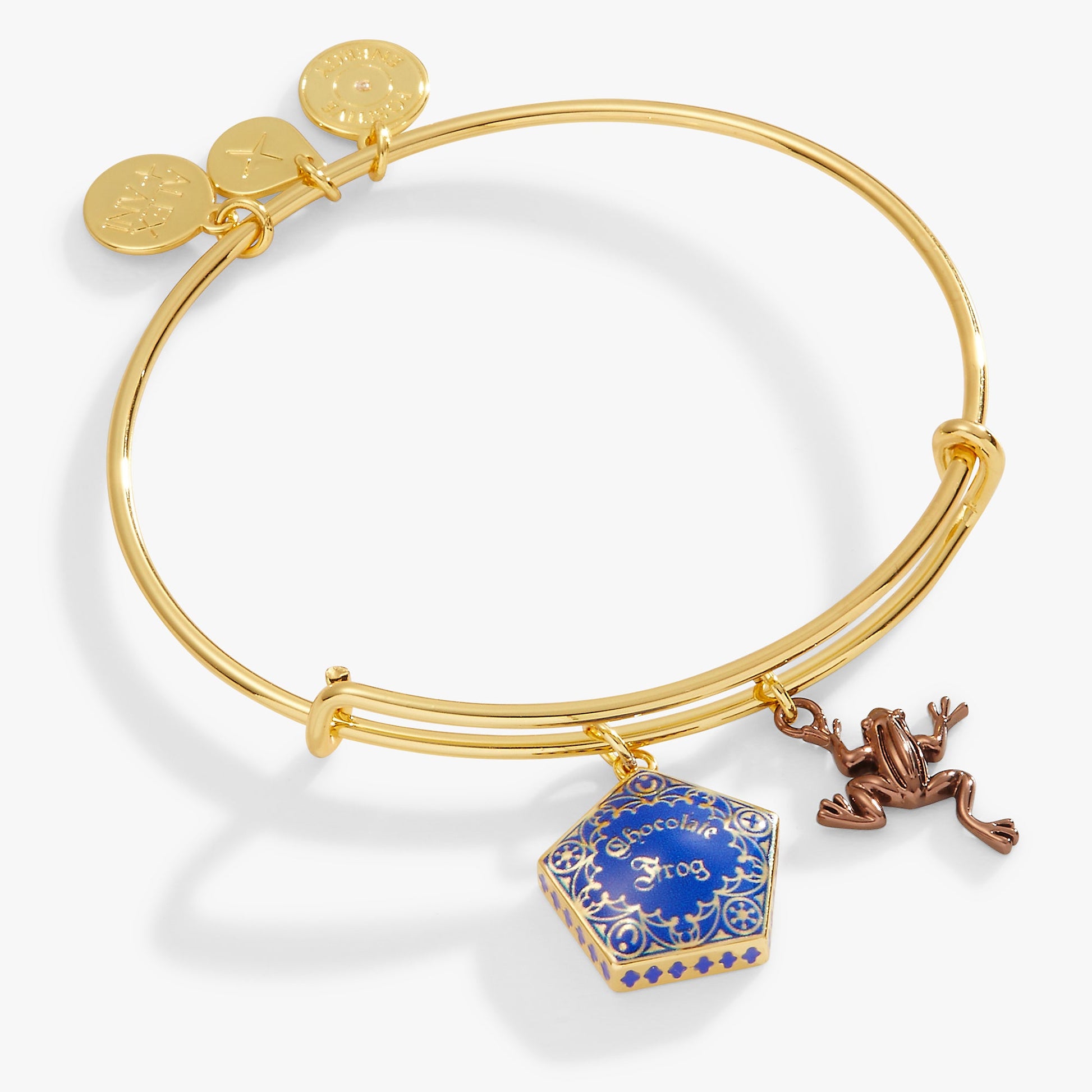 Harry Potter™ Chocolate Frog Two-Charm Bangle Two Tone