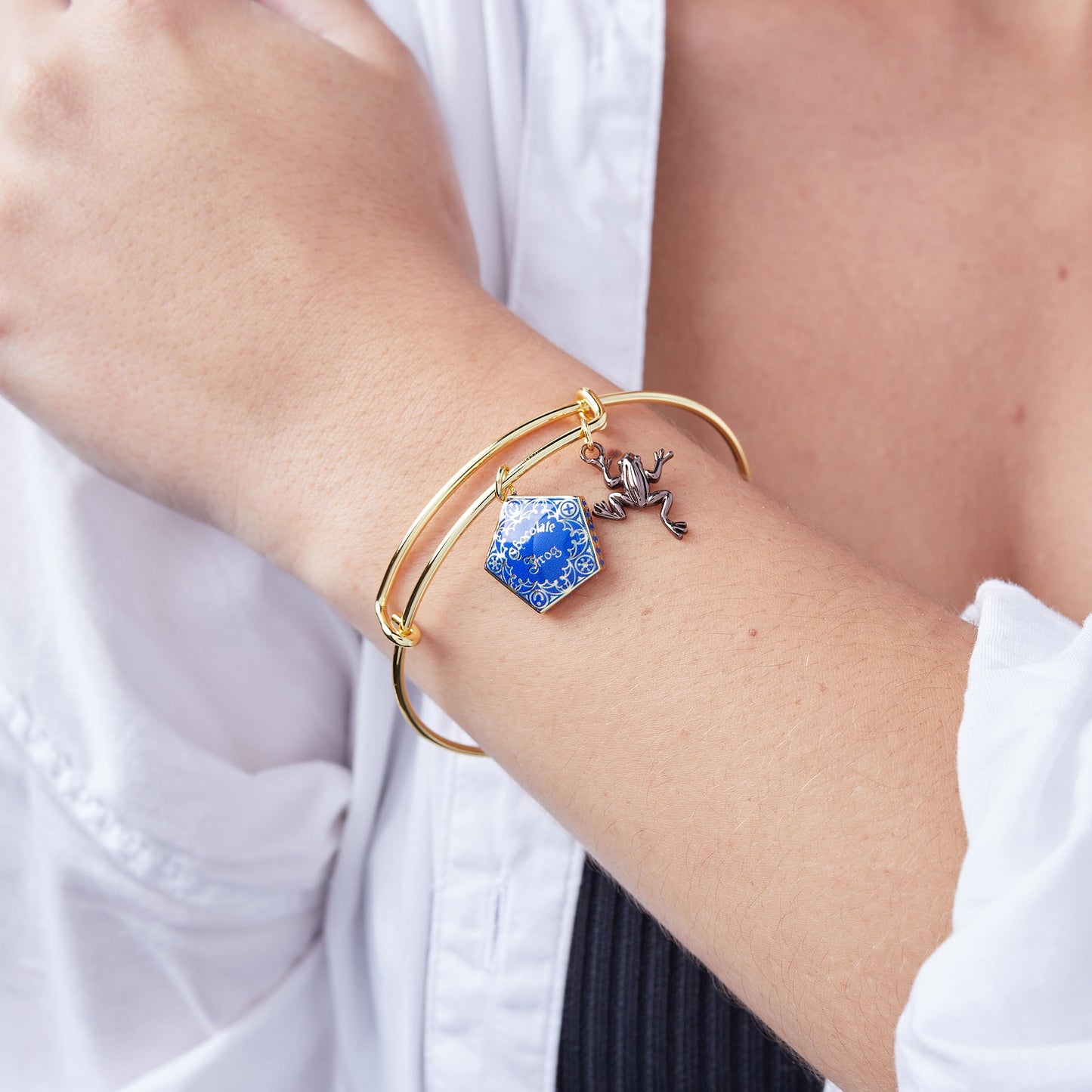 Harry Potter™ Chocolate Frog Two-Charm Bangle Two Tone