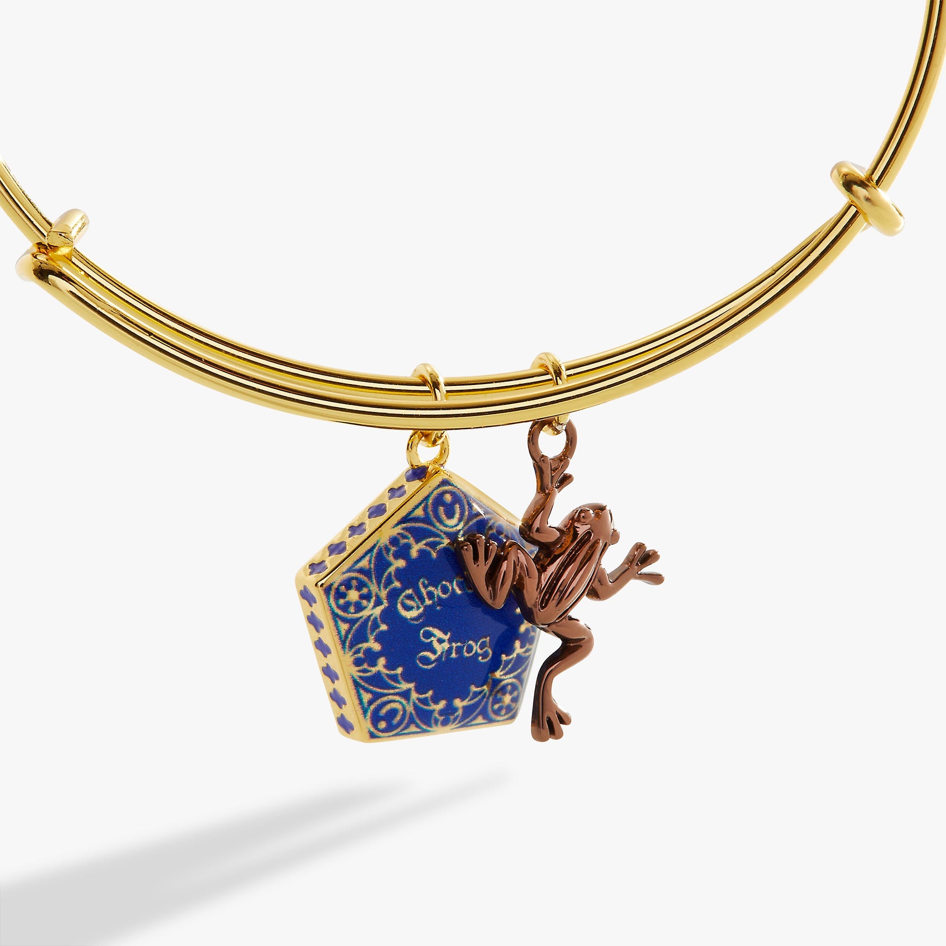 Harry Potter™ Chocolate Frog Two-Charm Bangle Two Tone