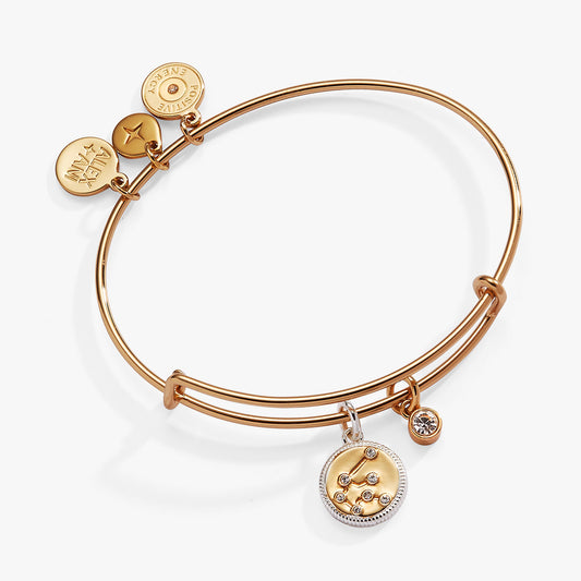 Aquarius Zodiac Charm Bangle Two Tone