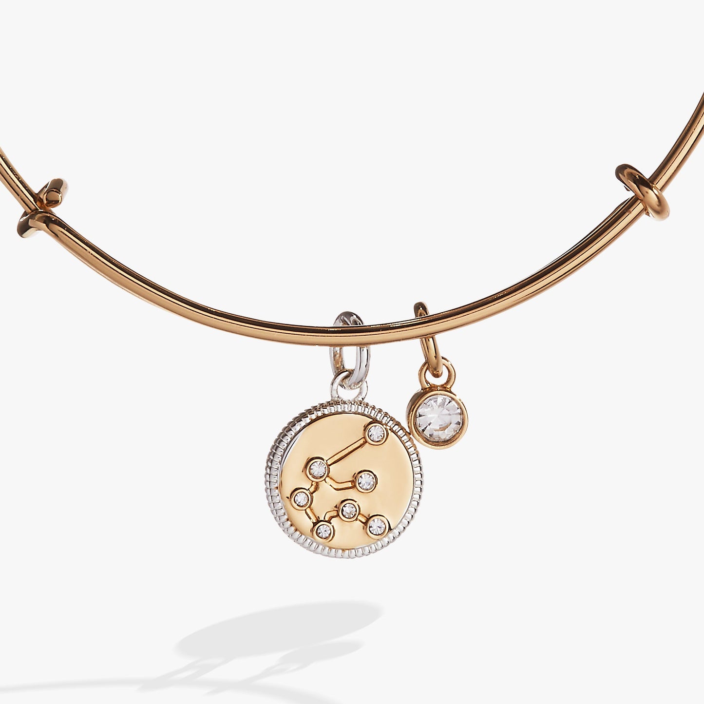 Aquarius Zodiac Charm Bangle Two Tone