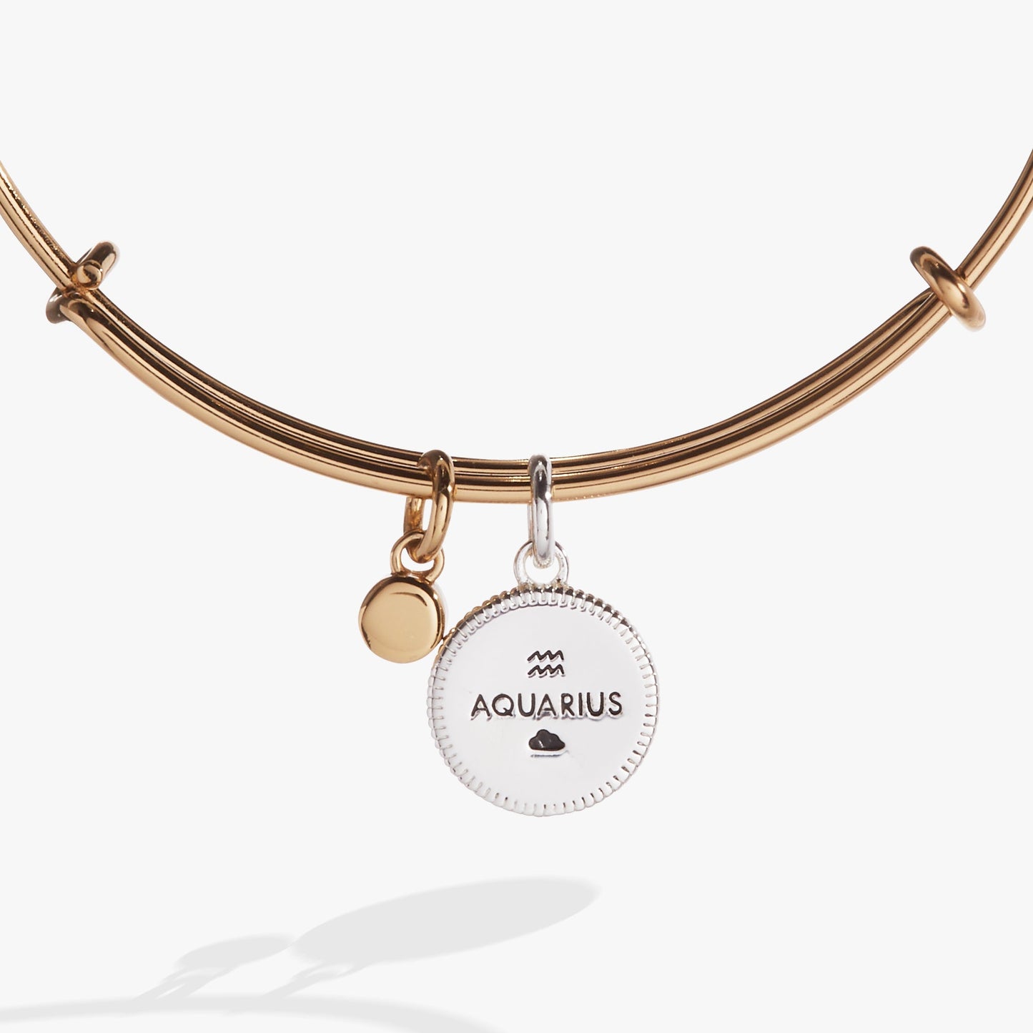Aquarius Zodiac Charm Bangle Two Tone