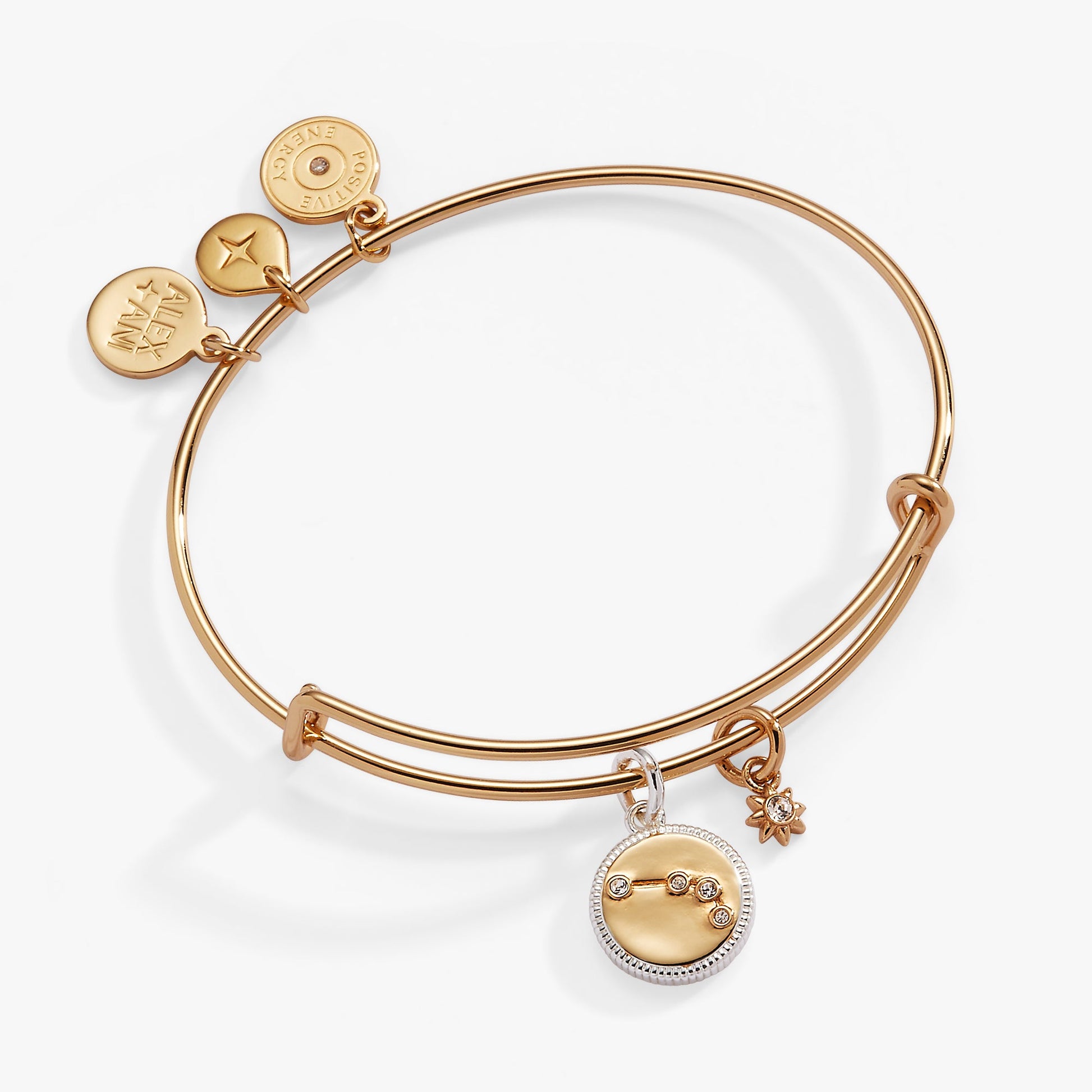 Aries Zodiac Charm Bangle Two Tone