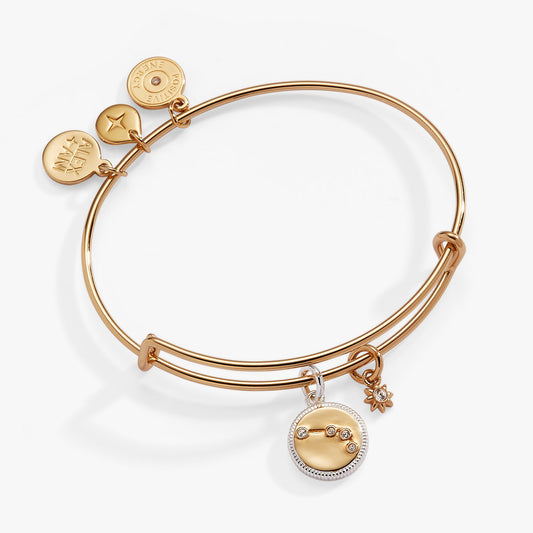 Aries Zodiac Charm Bangle Two Tone