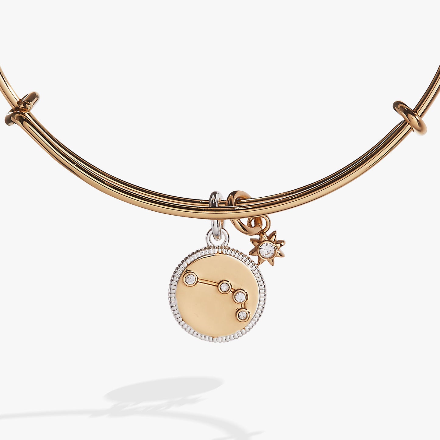 Aries Zodiac Charm Bangle Two Tone
