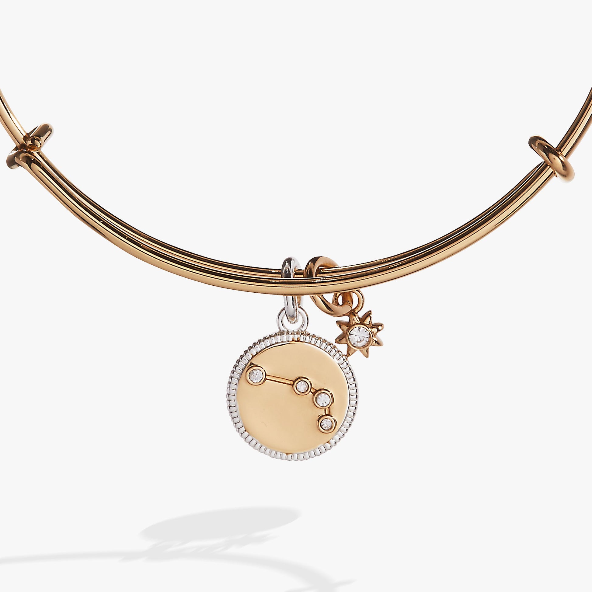 Aries Zodiac Charm Bangle Two Tone