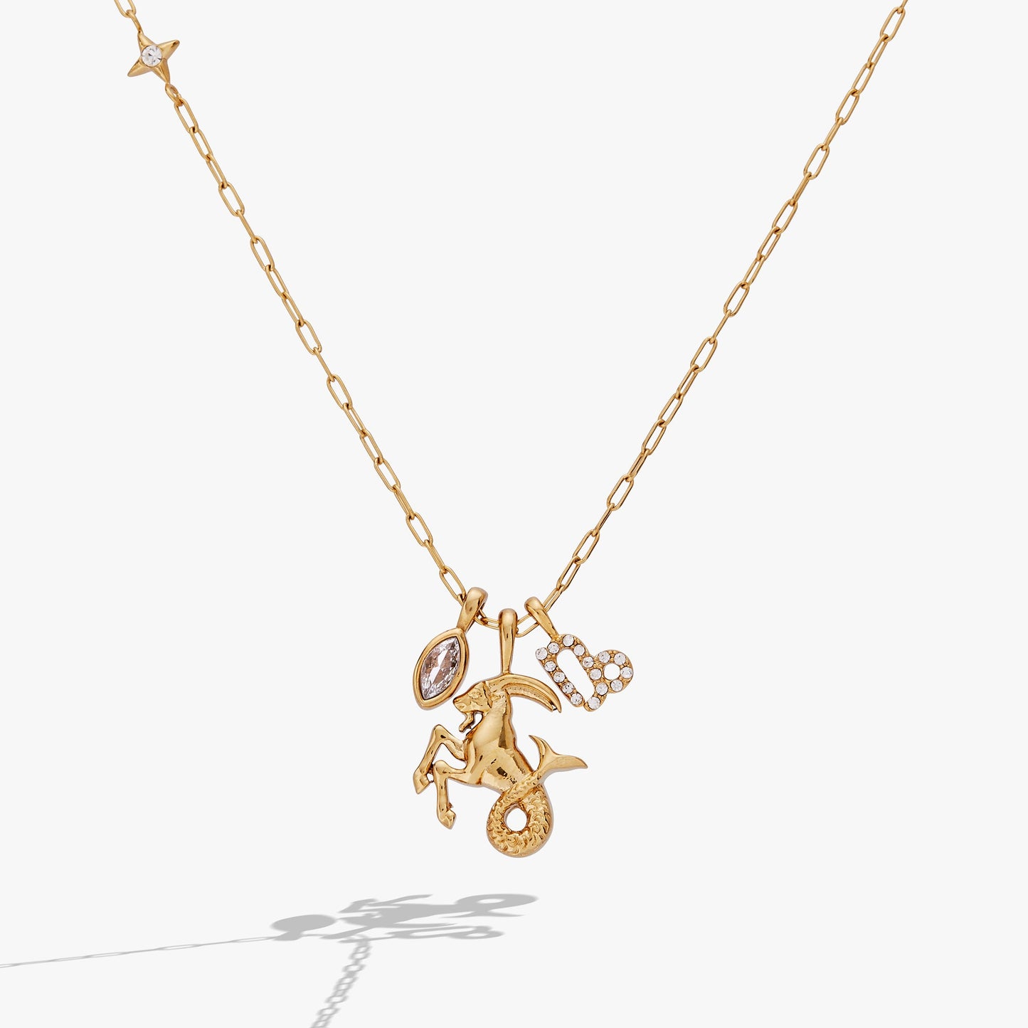 Capricorn Charm Cluster Necklace Stainless Steel Gold