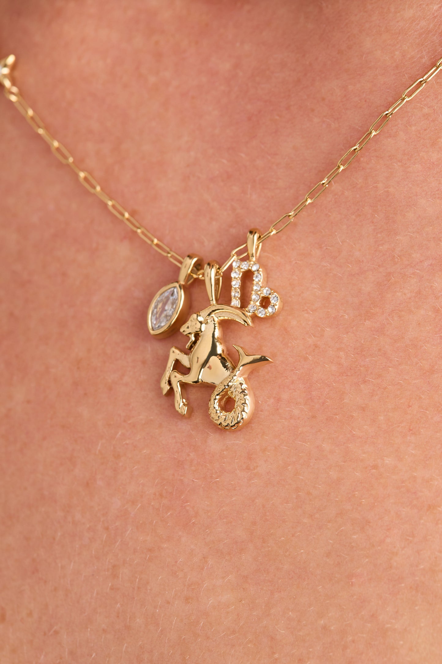Capricorn Charm Cluster Necklace Stainless Steel Gold
