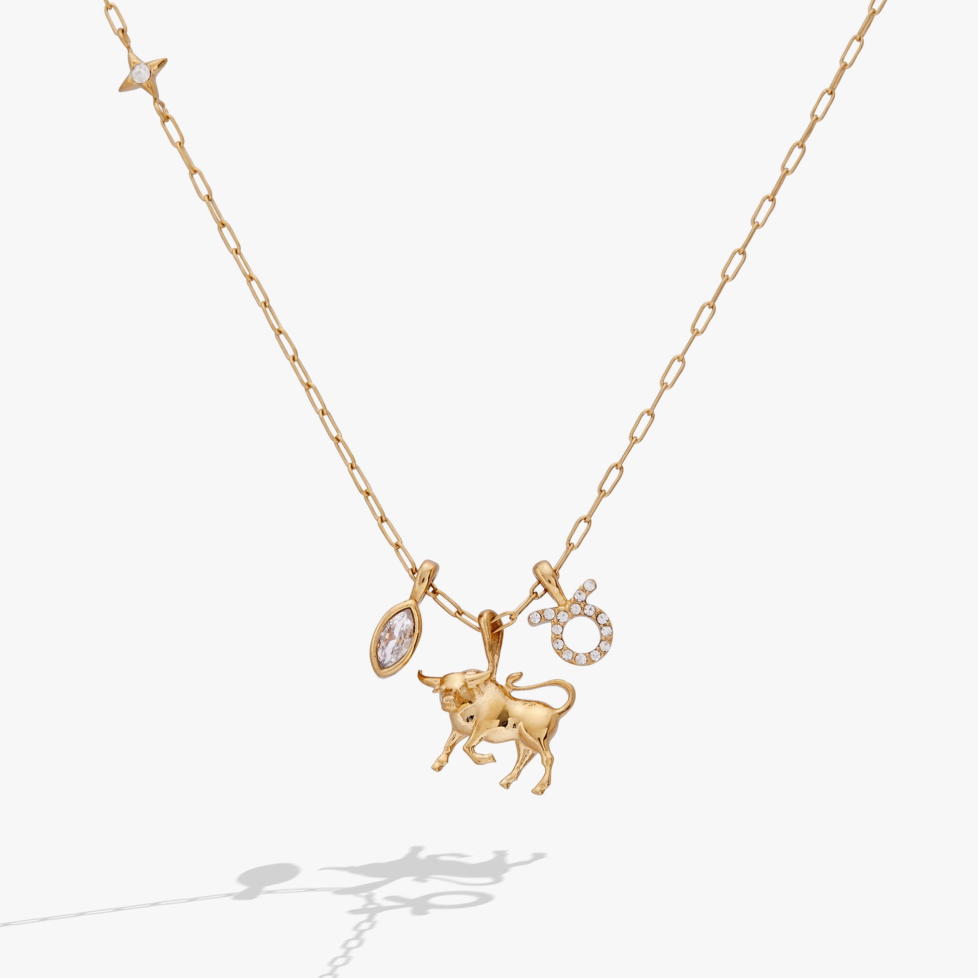 Taurus Charm Cluster Necklace Stainless Steel Gold