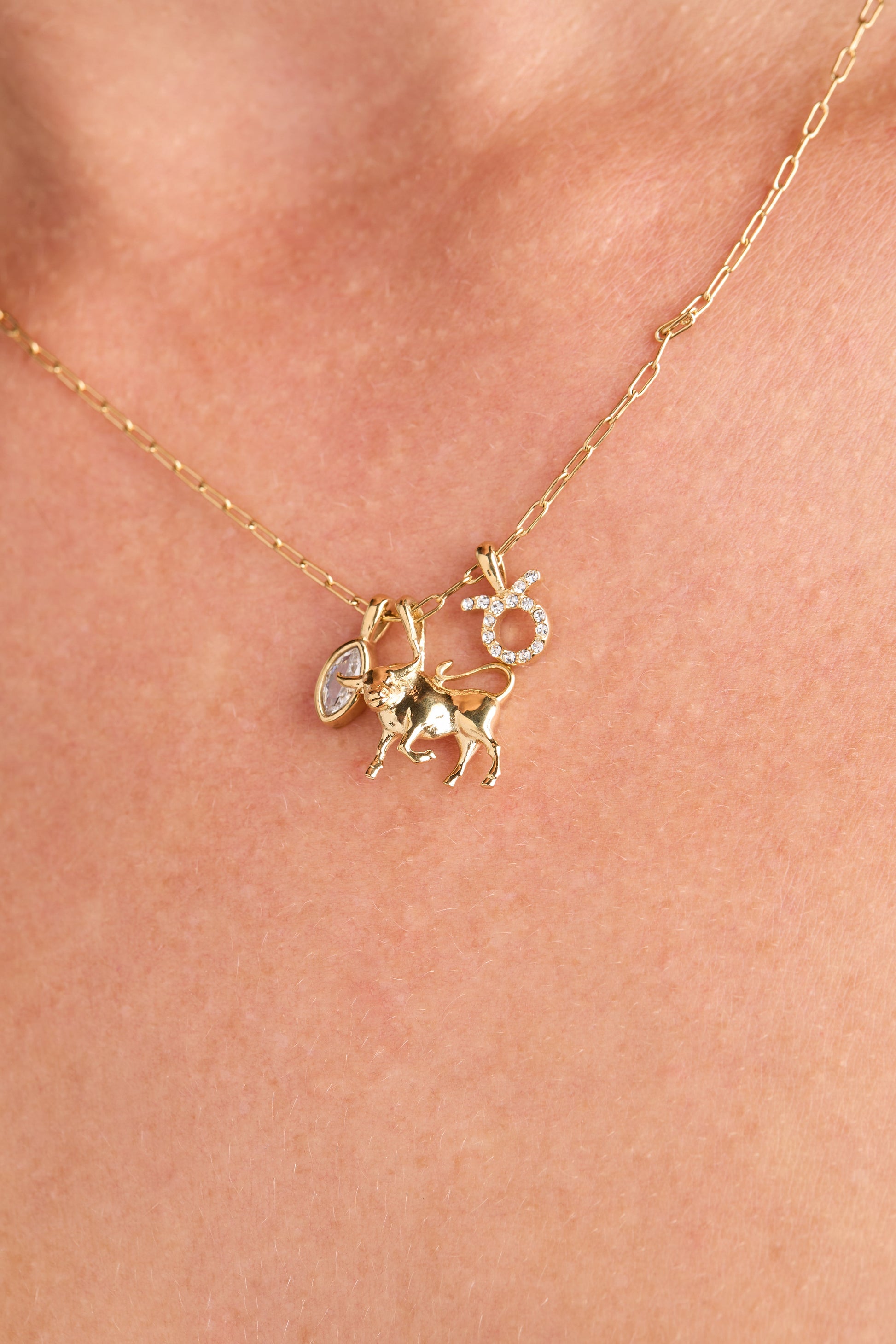 Taurus Charm Cluster Necklace Stainless Steel Gold