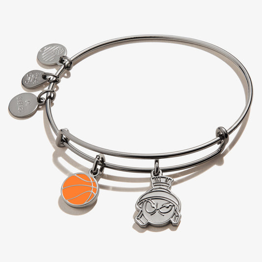 Space Jam Marvin the Martian Duo Charm Bangle - Alex and Ani Midnight Silver