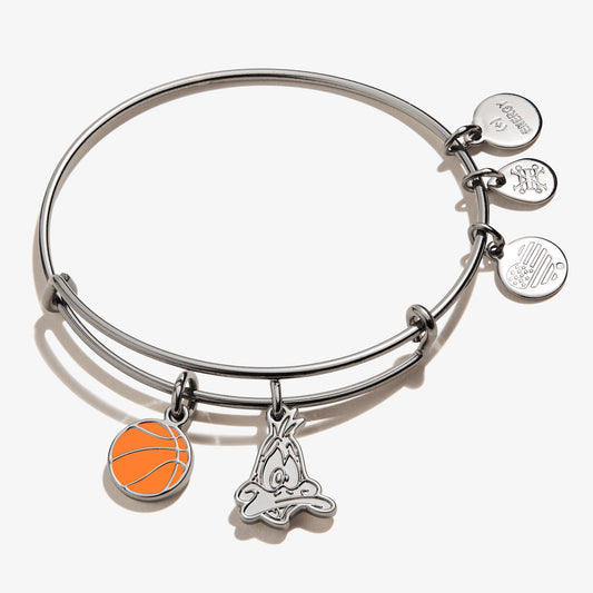 Space Jam Daffy Duck Duo Charm Bangle - Alex and Ani Midnight Silver