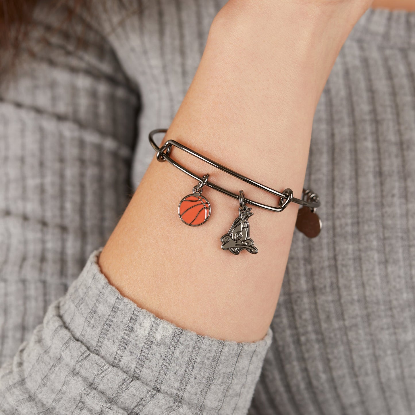 Space Jam Daffy Duck Duo Charm Bangle - Alex and Ani Midnight Silver