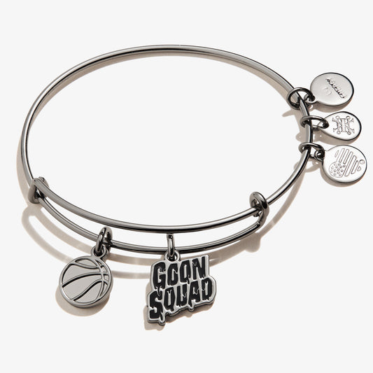 Space Jam 'Goon Squad' Duo Charm Bangle - Alex and Ani Midnight Silver