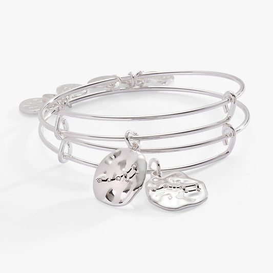 Little Dipper BFF Bangle Set of 2 Silver