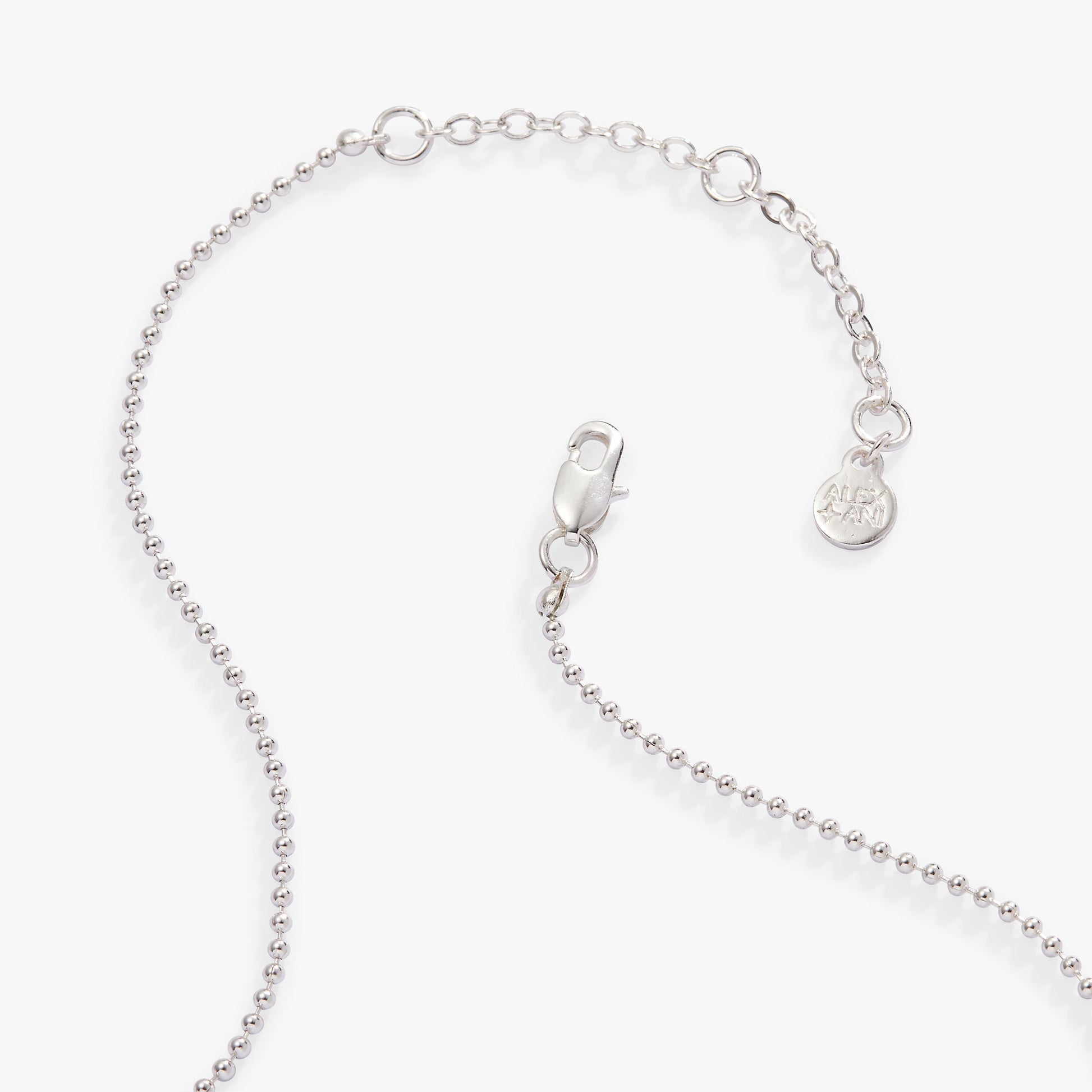 Sagittarius Zodiac Double-Sided Charm Necklace Silver
