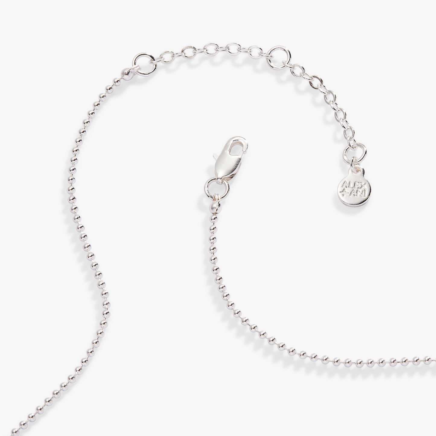 Capricorn Zodiac Double-Sided Charm Necklace Silver
