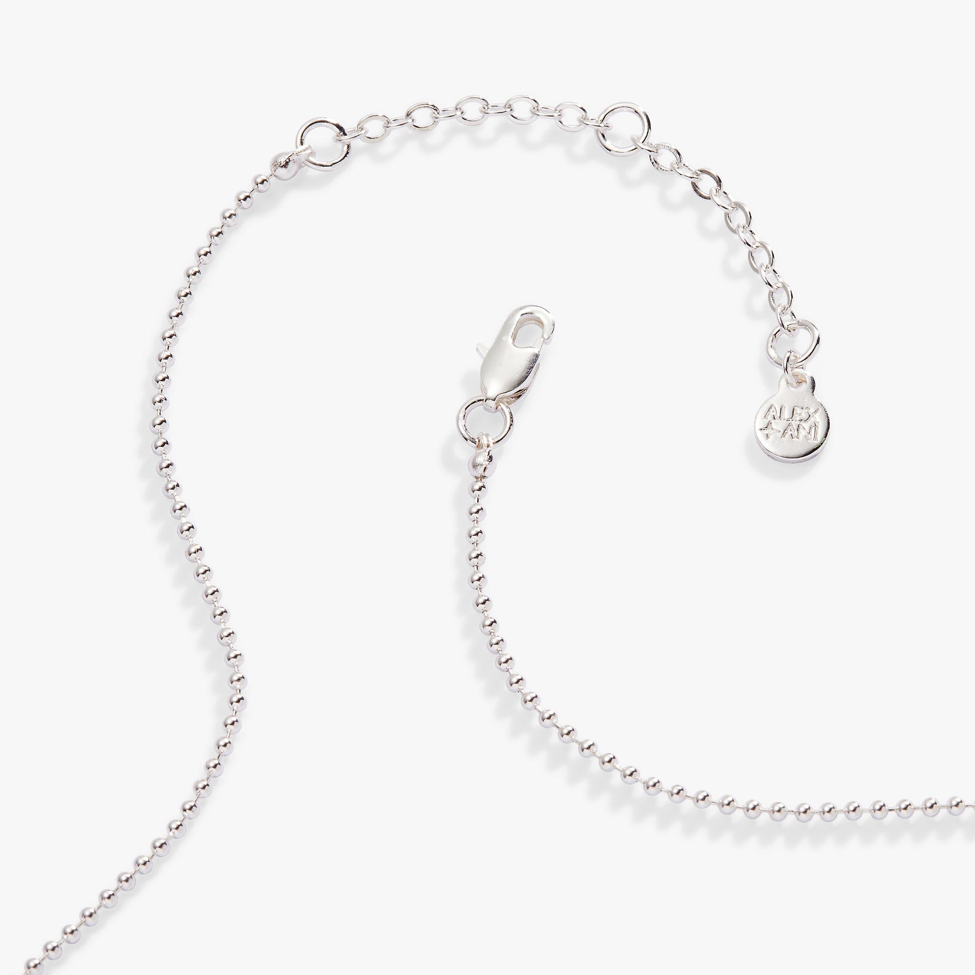 Capricorn Zodiac Double-Sided Charm Necklace Silver