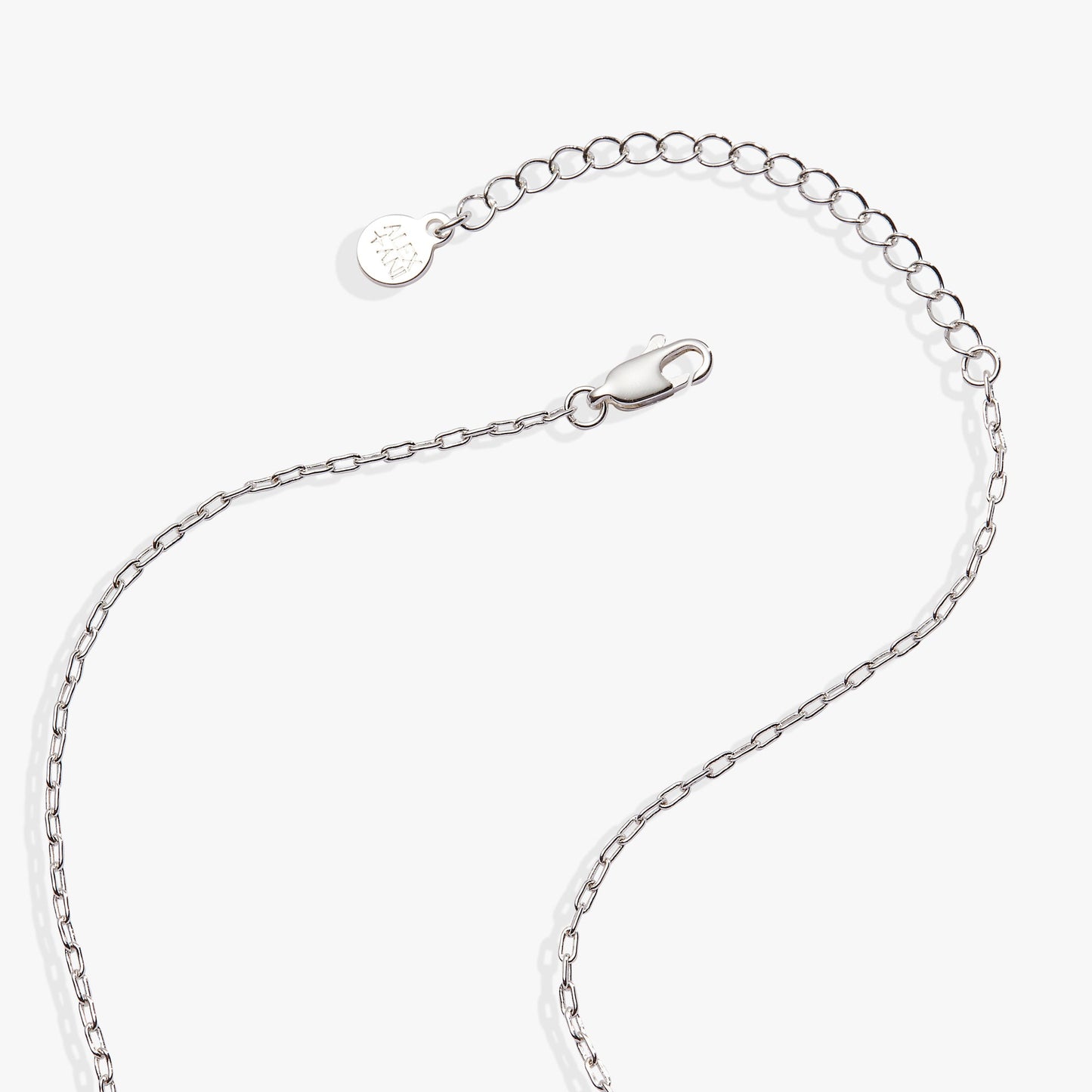 Cardinal Necklace Silver