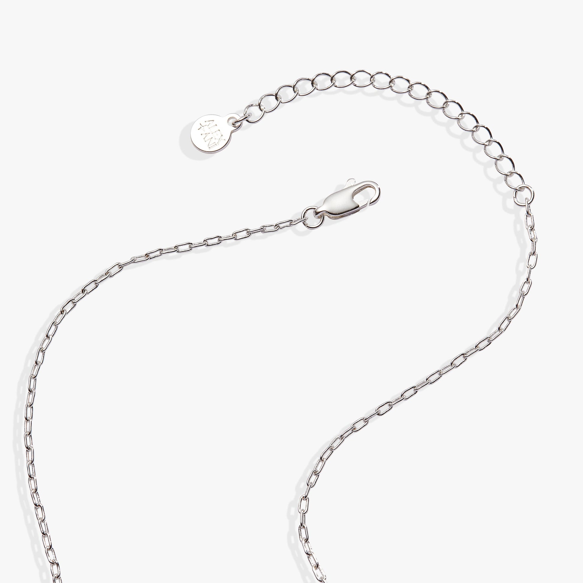 Cardinal Necklace Silver
