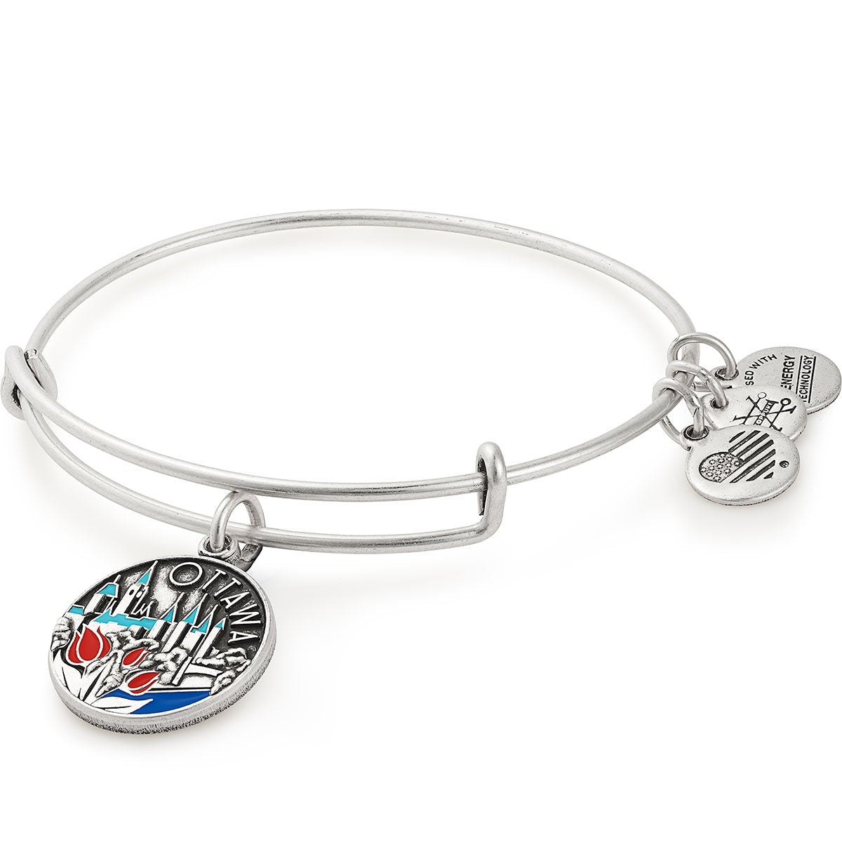 Ottawa Charm Bangle, Color Infusion - Alex and Ani Rafaelian Silver