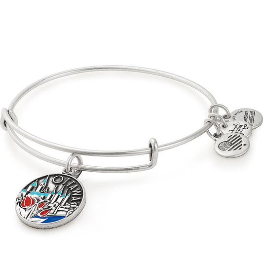 Ottawa Charm Bangle, Color Infusion - Alex and Ani Rafaelian Silver