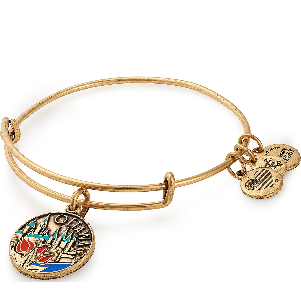 Ottawa Charm Bangle, Color Infusion - Alex and Ani Rafaelian Silver