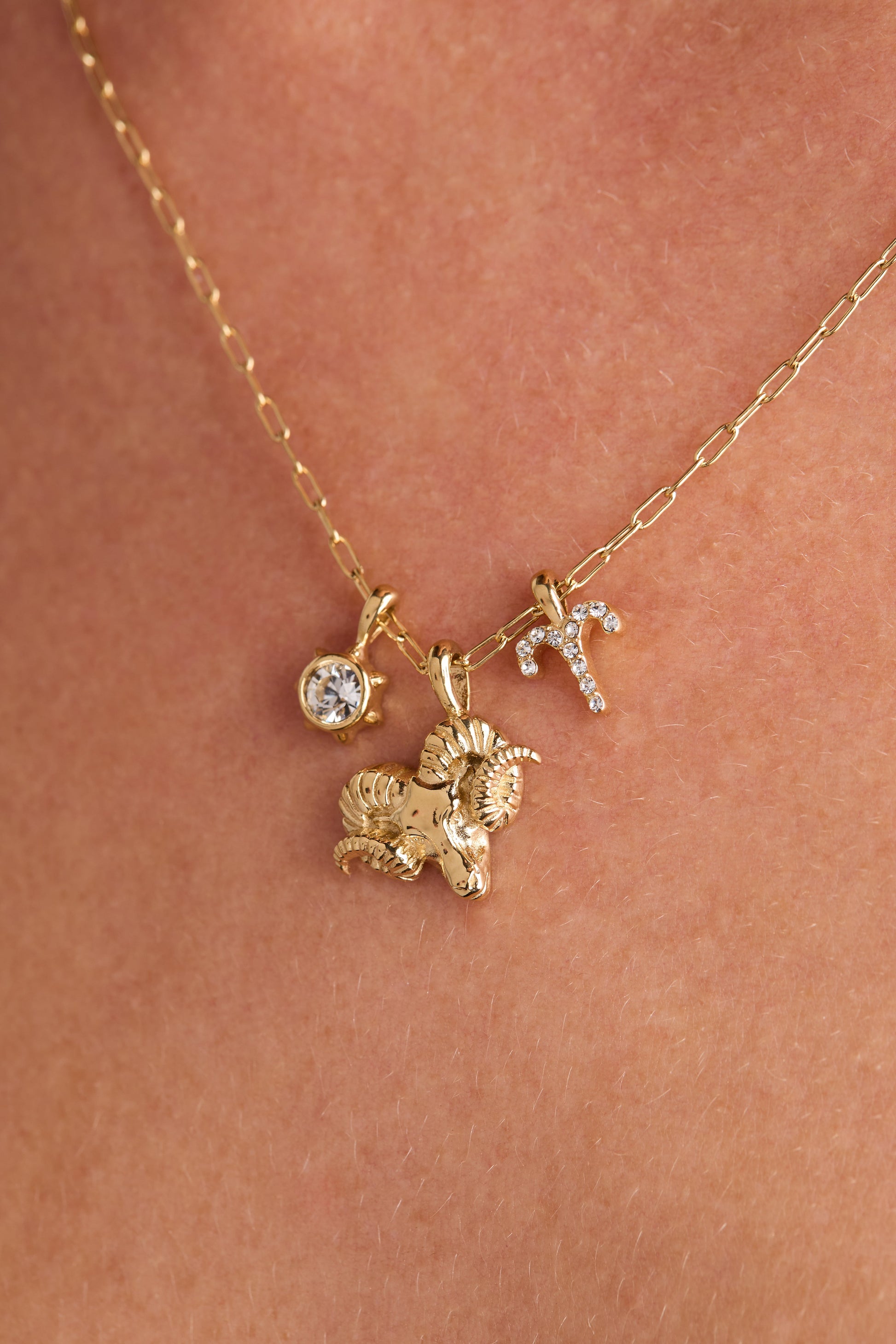 Aries Charm Cluster Necklace Stainless Steel Gold
