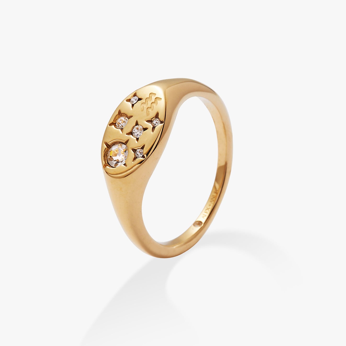 Aquarius Zodiac Ring Stainless Steel Gold