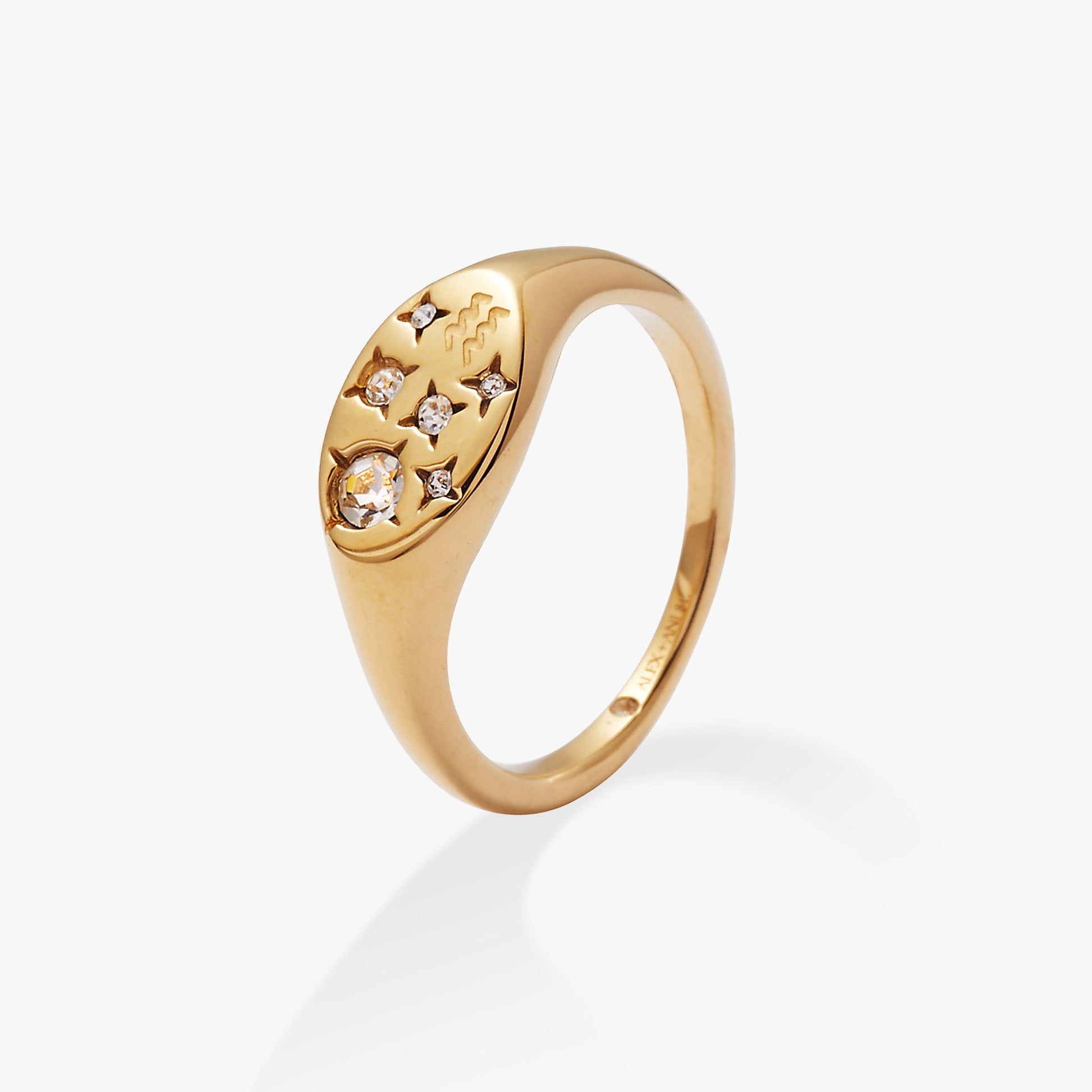 Aquarius Zodiac Ring Stainless Steel Gold