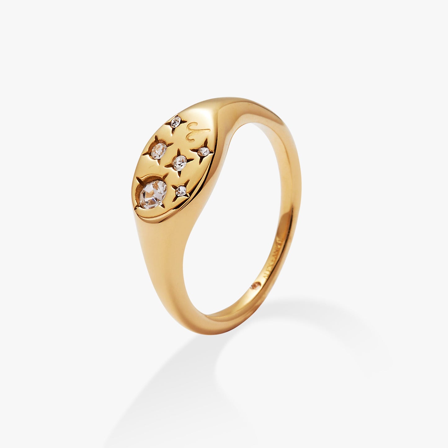 Aries Zodiac Ring Stainless Steel Gold