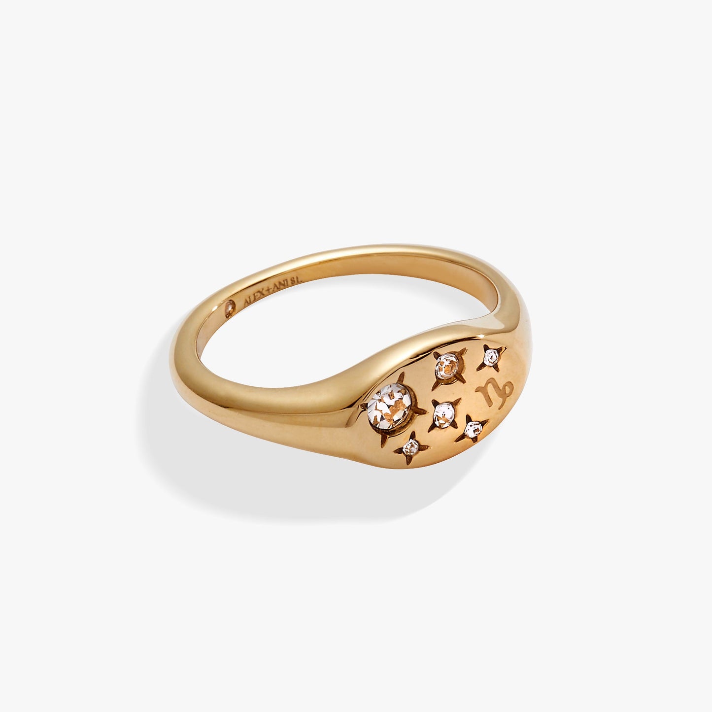 Capricorn Zodiac Ring Stainless Steel Gold