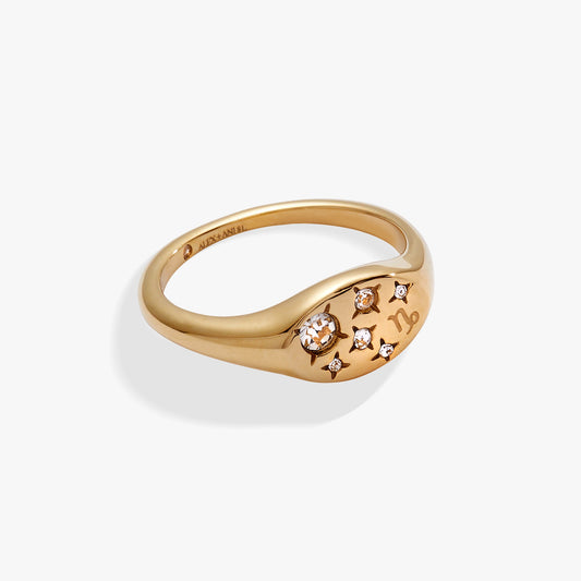 Capricorn Zodiac Ring Stainless Steel Gold