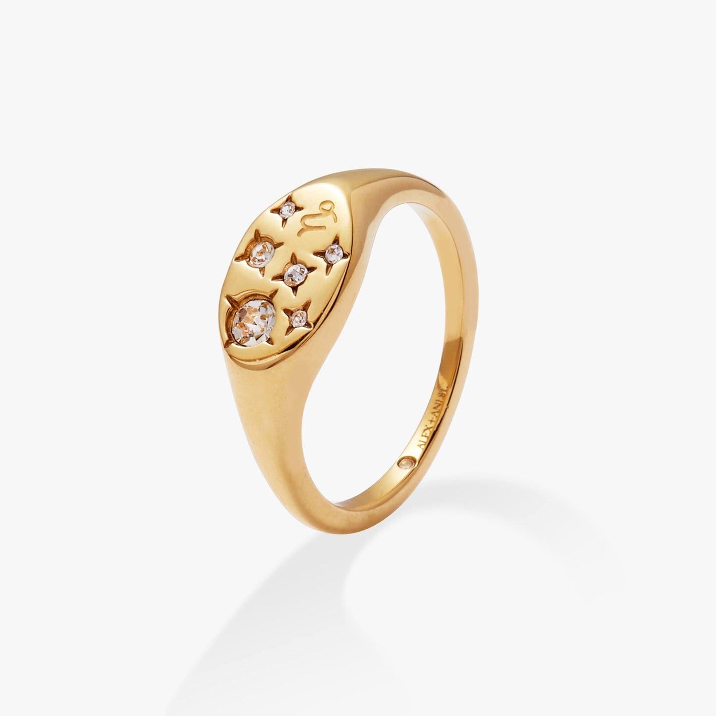Capricorn Zodiac Ring Stainless Steel Gold
