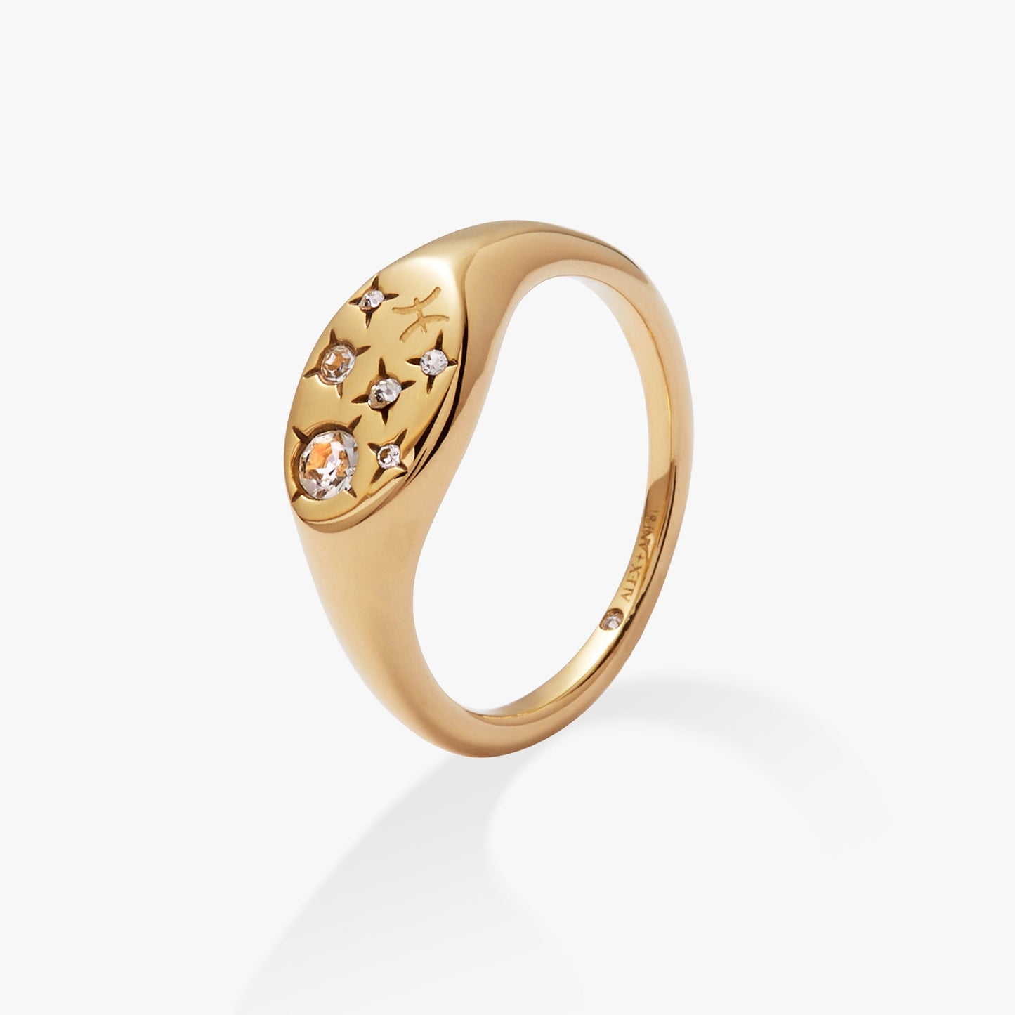 Pisces Zodiac Ring Stainless Steel Gold