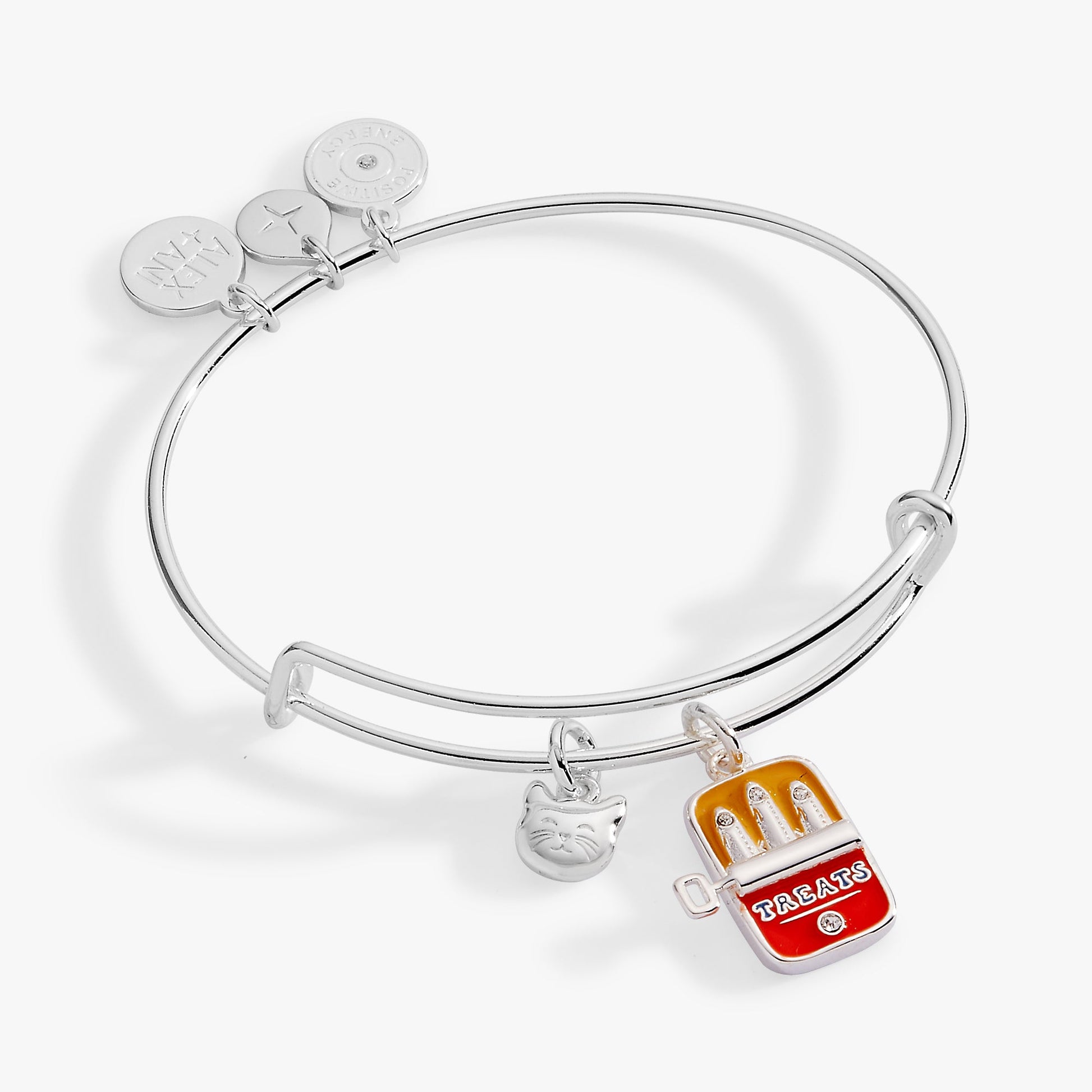 Sardine Tin Duo Charm Bangle Silver